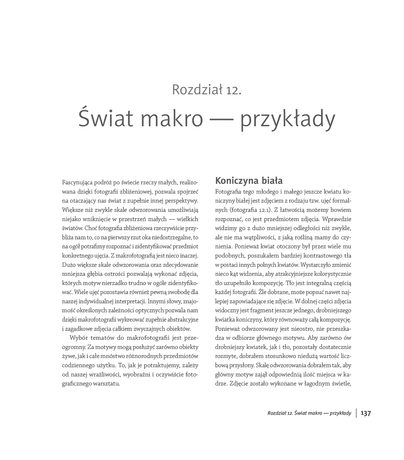 Fragment „Blisko, coraz bliżej. Od fotografii zbliżeniowej do mikrofotografii” — strona 7 z 30