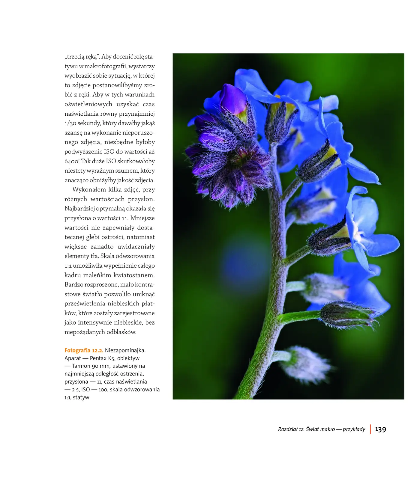 Fragment „Blisko, coraz bliżej. Od fotografii zbliżeniowej do mikrofotografii” — strona 9 z 30