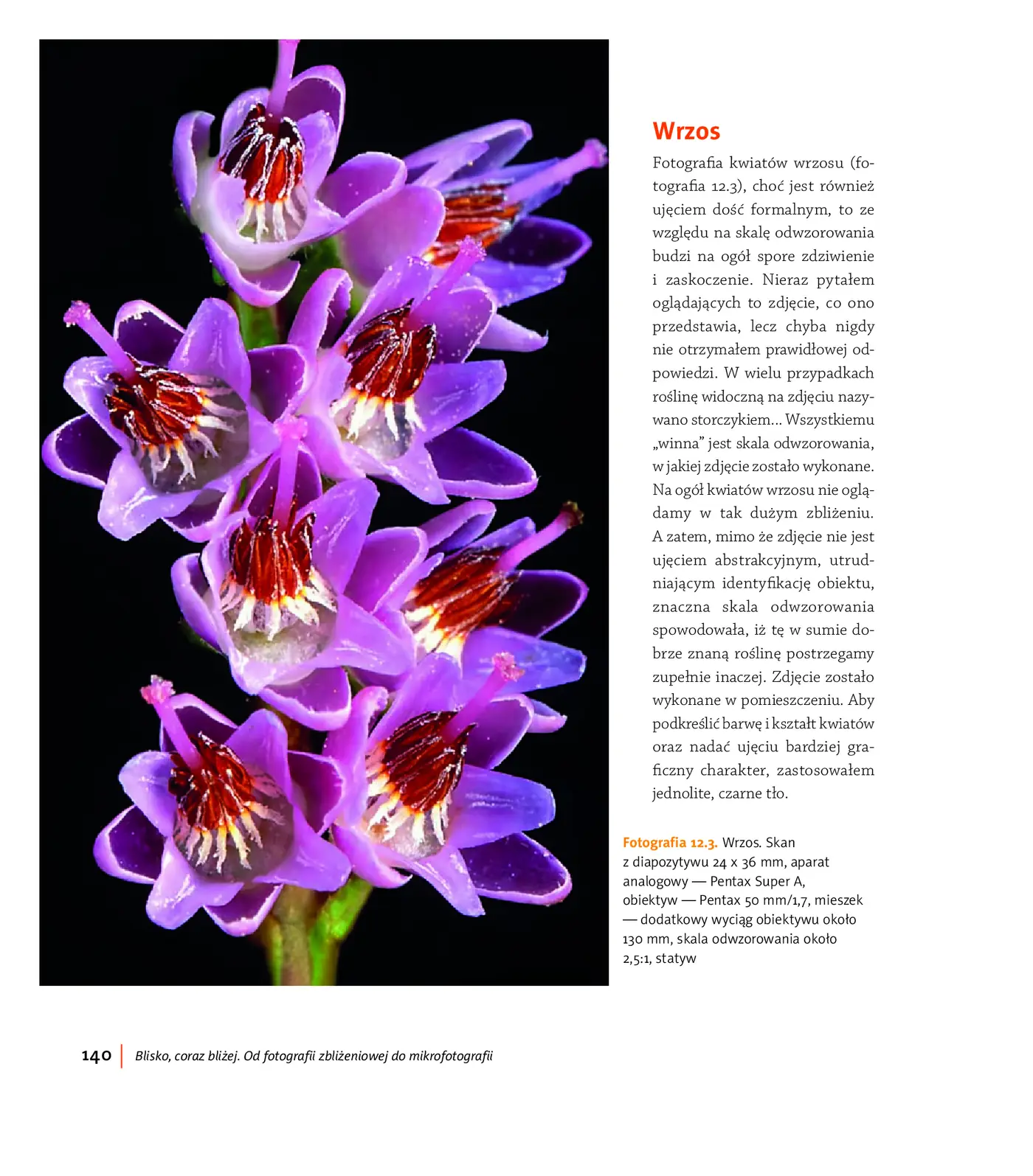 Fragment „Blisko, coraz bliżej. Od fotografii zbliżeniowej do mikrofotografii” — strona 10 z 30