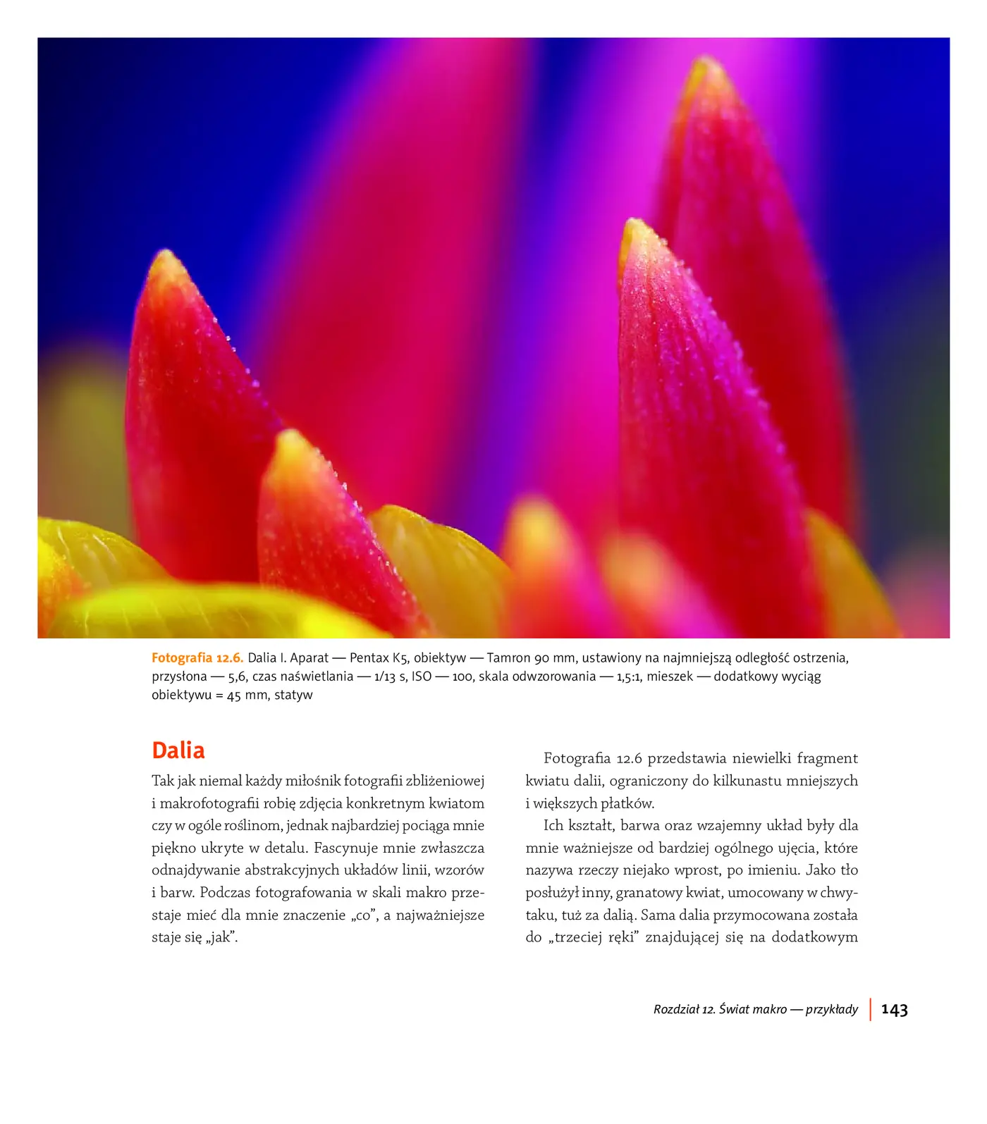 Fragment „Blisko, coraz bliżej. Od fotografii zbliżeniowej do mikrofotografii” — strona 13 z 30