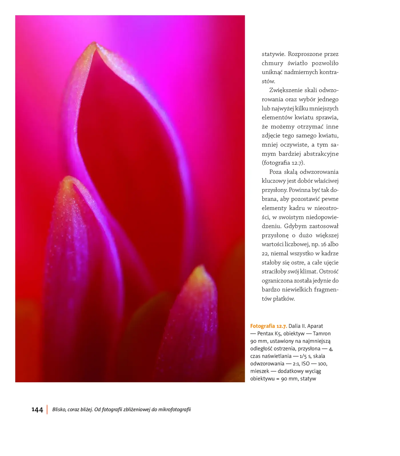 Fragment „Blisko, coraz bliżej. Od fotografii zbliżeniowej do mikrofotografii” — strona 14 z 30