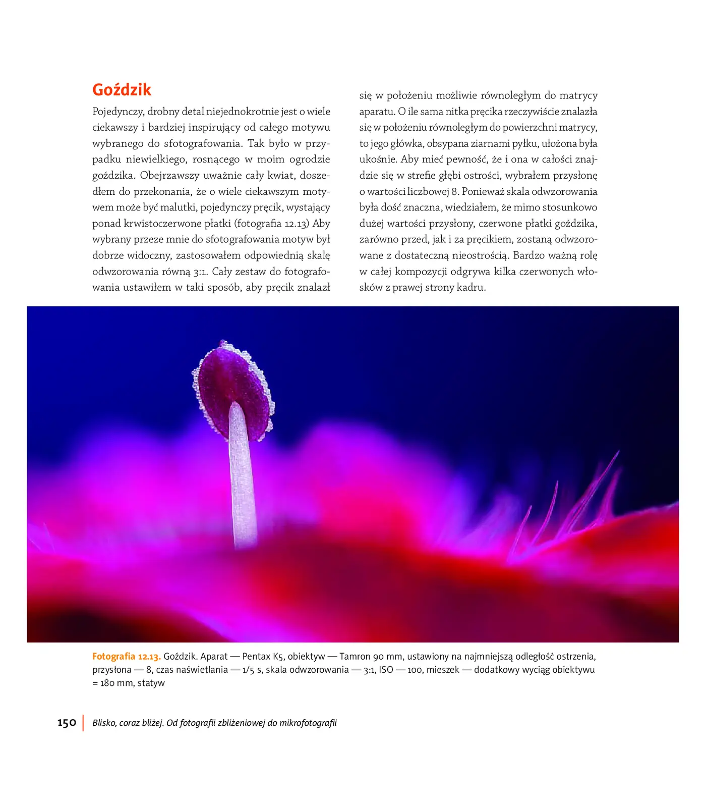 Fragment „Blisko, coraz bliżej. Od fotografii zbliżeniowej do mikrofotografii” — strona 20 z 30