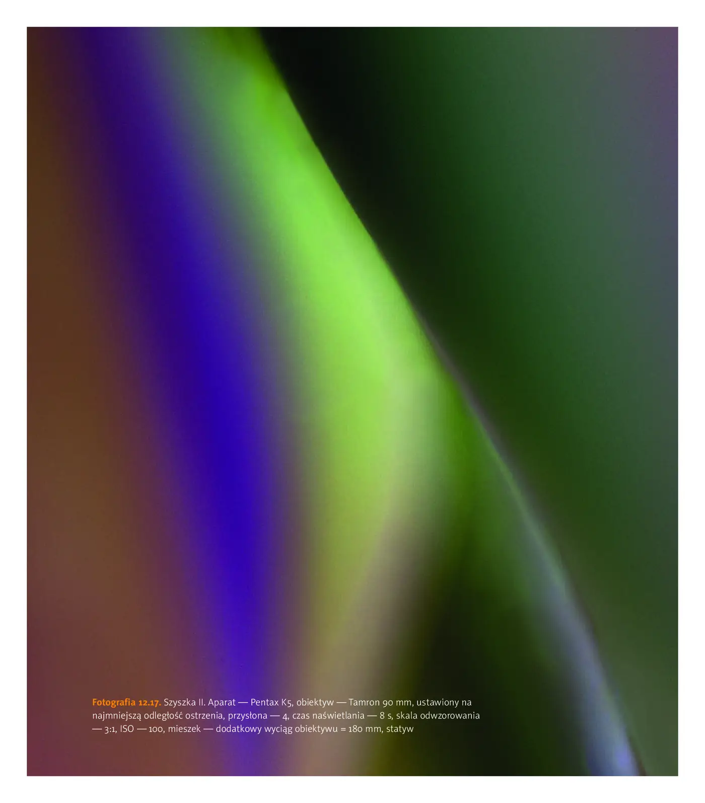 Fragment „Blisko, coraz bliżej. Od fotografii zbliżeniowej do mikrofotografii” — strona 24 z 30