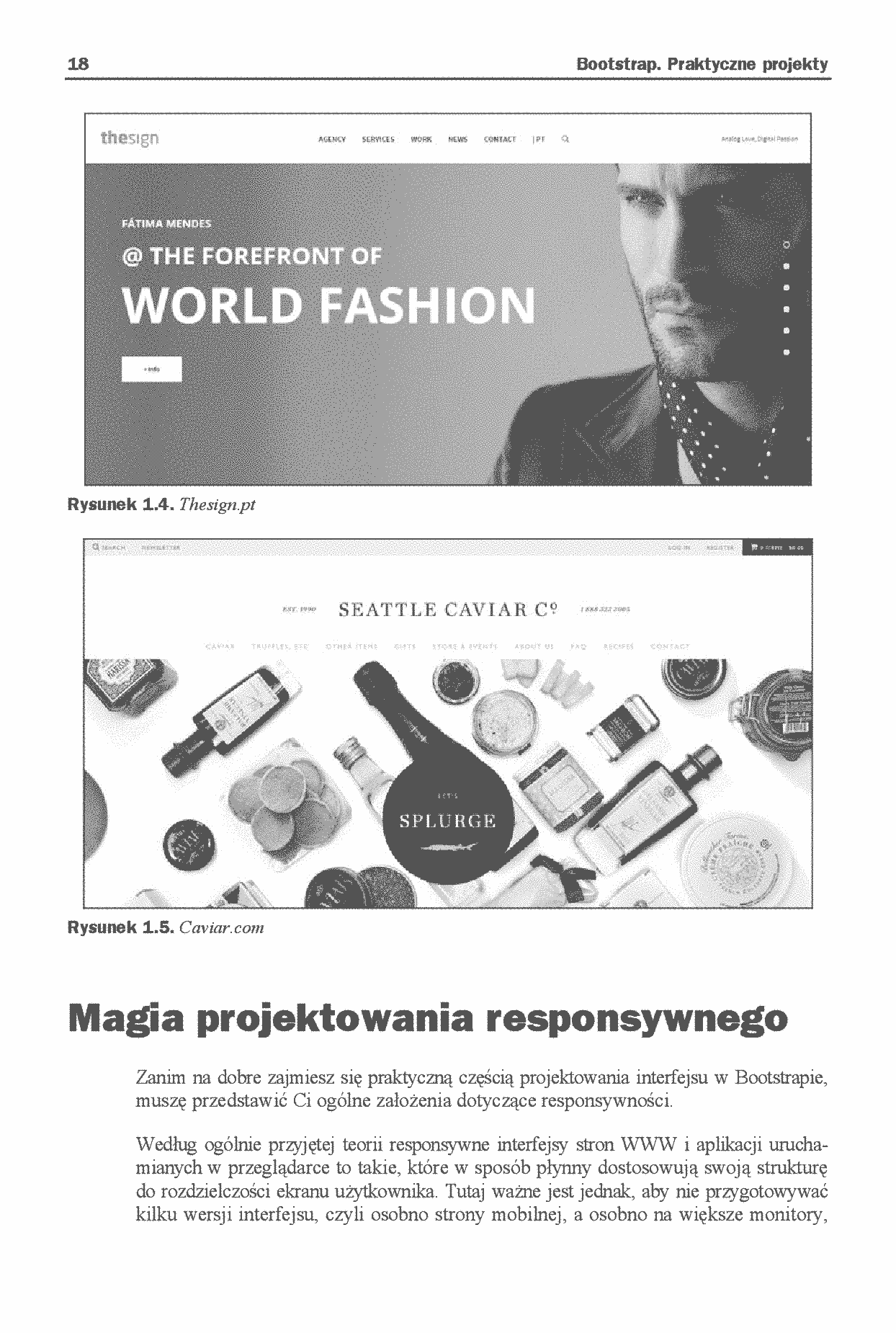 Fragment „Bootstrap. Praktyczne projekty” — strona 12 z 24