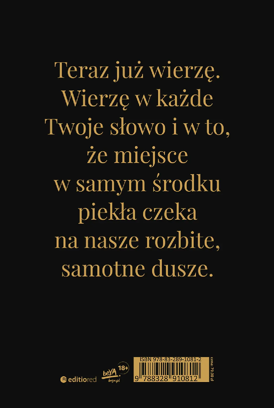 Fragment „Burn the Hell. Runda trzecia. Wydanie premium” — strona 12 z 12