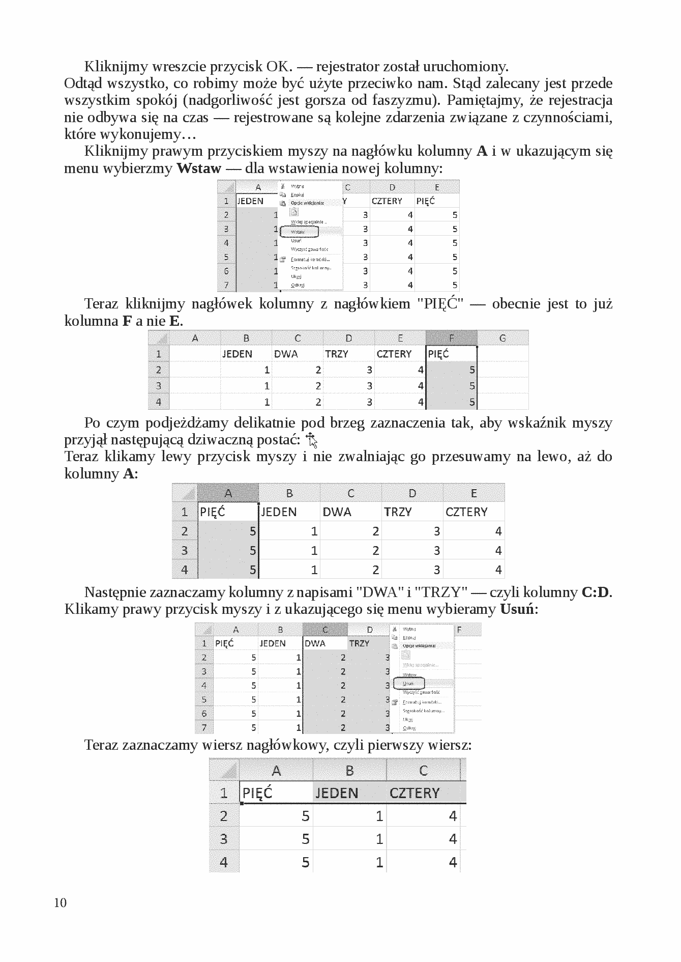 Fragment „Visual Basic dla Excela w przykładach” — strona 10 z 30