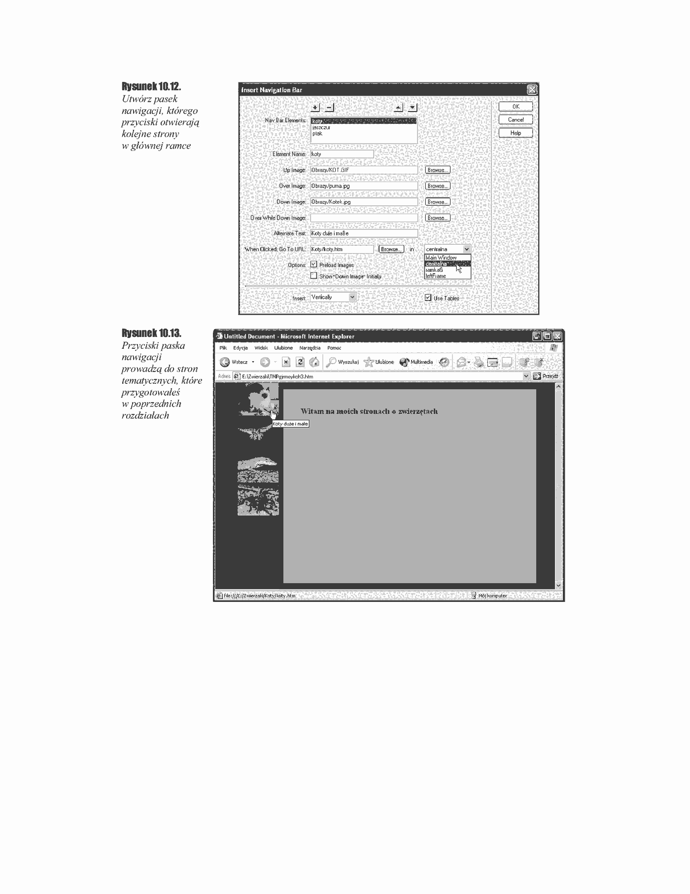 Fragment „Dreamweaver MX” — strona 17 z 17