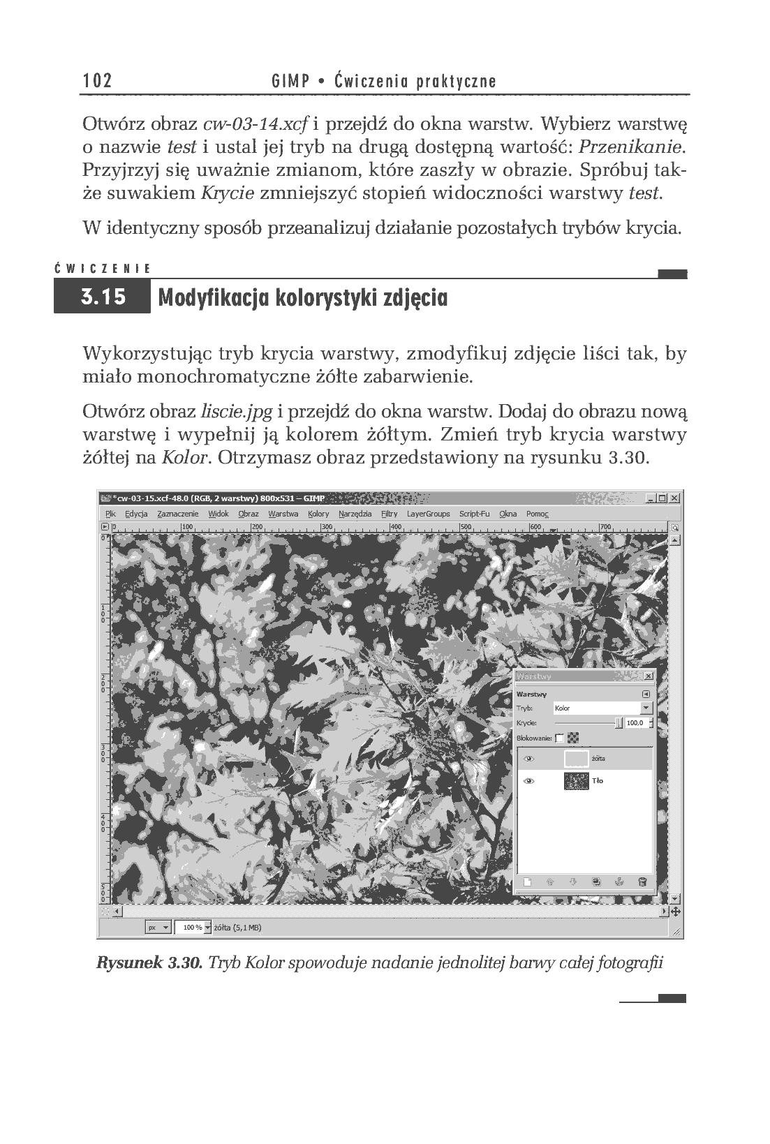 Fragment „GIMP. Ćwiczenia praktyczne” — strona 7 z 10