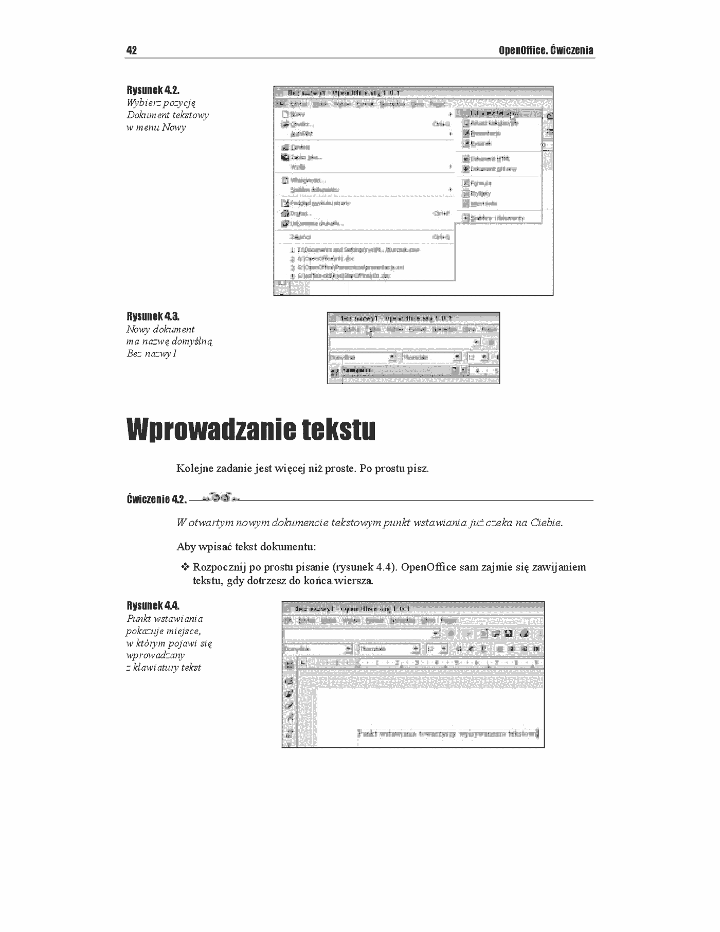 Fragment „OpenOffice. Ćwiczenia” — strona 7 z 21