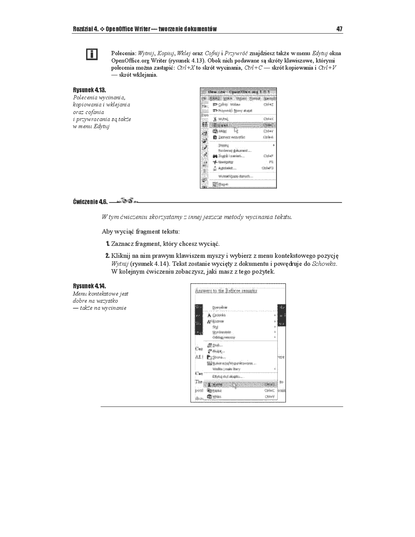 Fragment „OpenOffice. Ćwiczenia” — strona 12 z 21