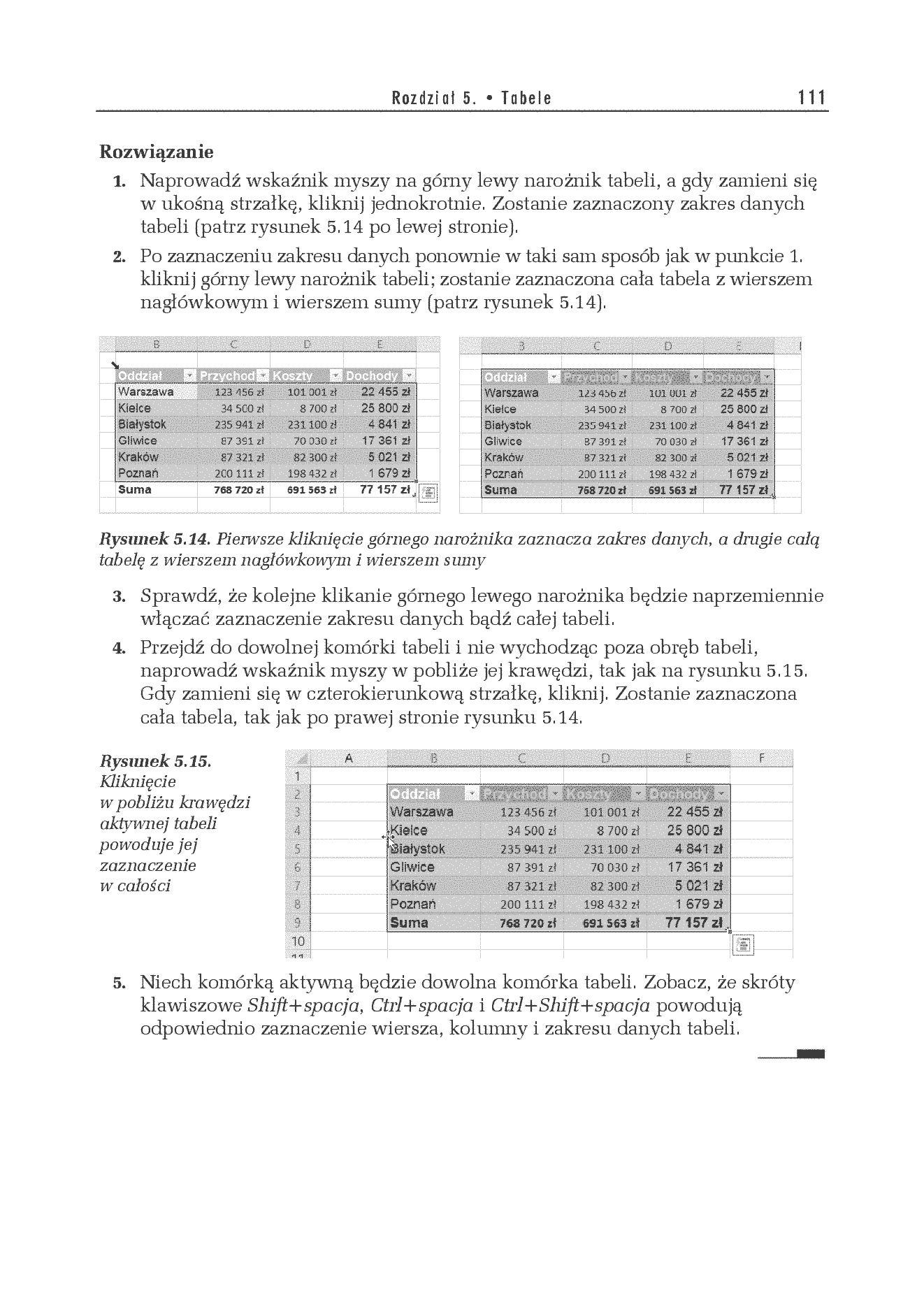 Fragment „Excel 2019. Ćwiczenia zaawansowane” — strona 17 z 22