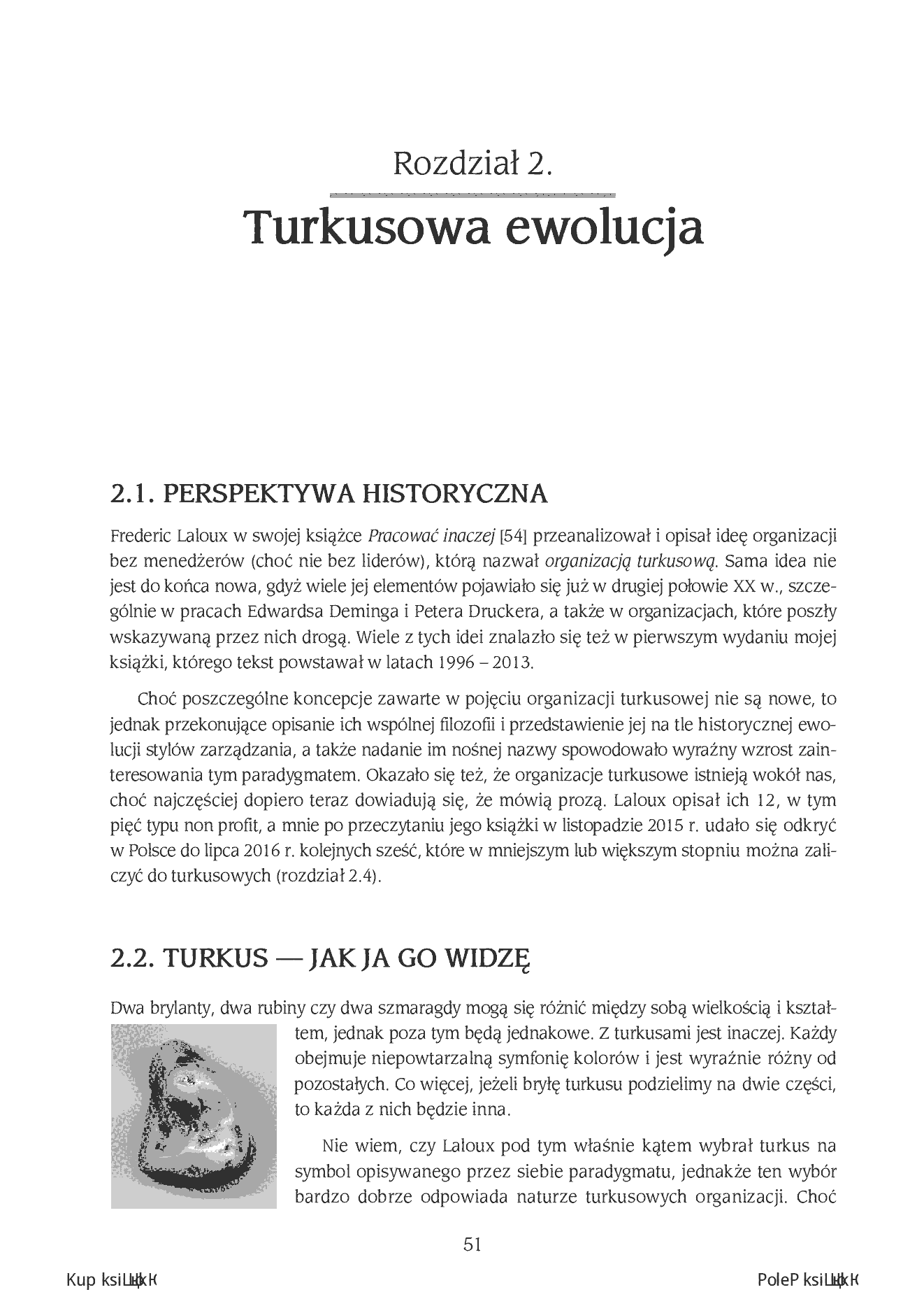 Fragment „Doktryna jakości. Wydanie II turkusowe. Rzecz o turkusowej samoorganizacji” — strona 13 z 30