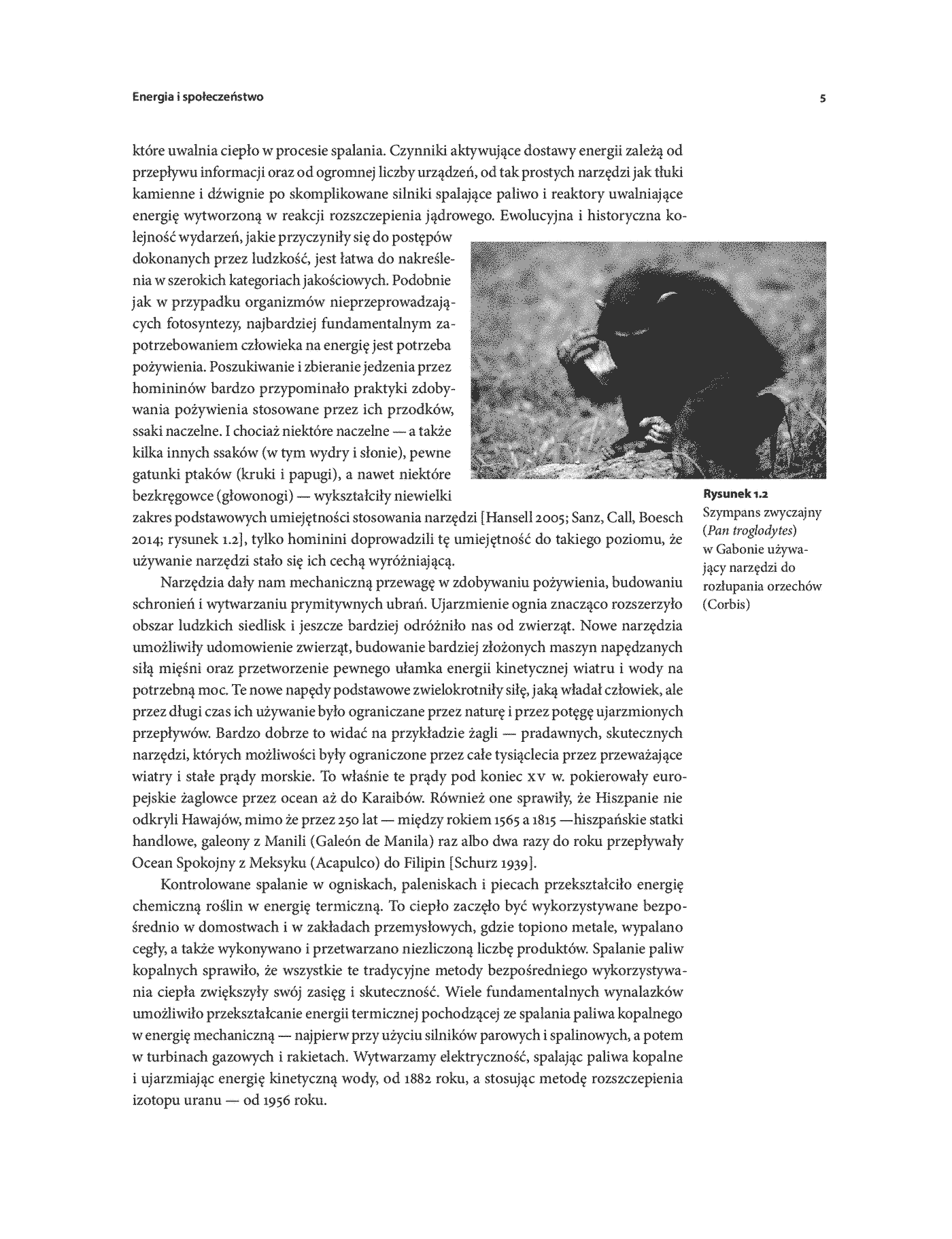 Fragment „Energia i cywilizacja. Tak tworzy się historia” — strona 9 z 22