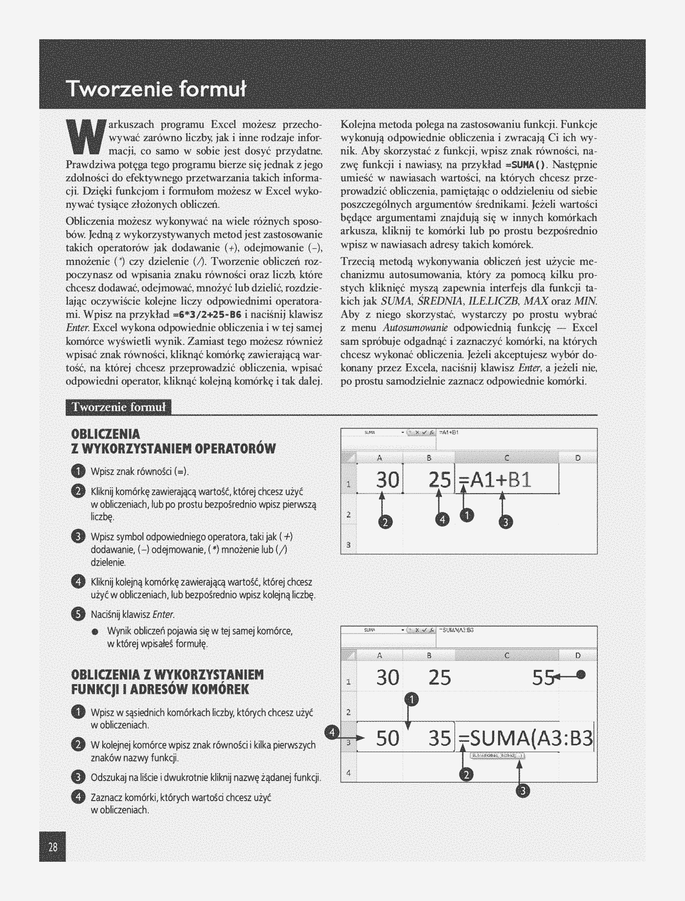 Fragment „Excel 2007 PL. Analiza danych, wykresy, tabele przestawne. Niebieski podręcznik” — strona 9 z 22