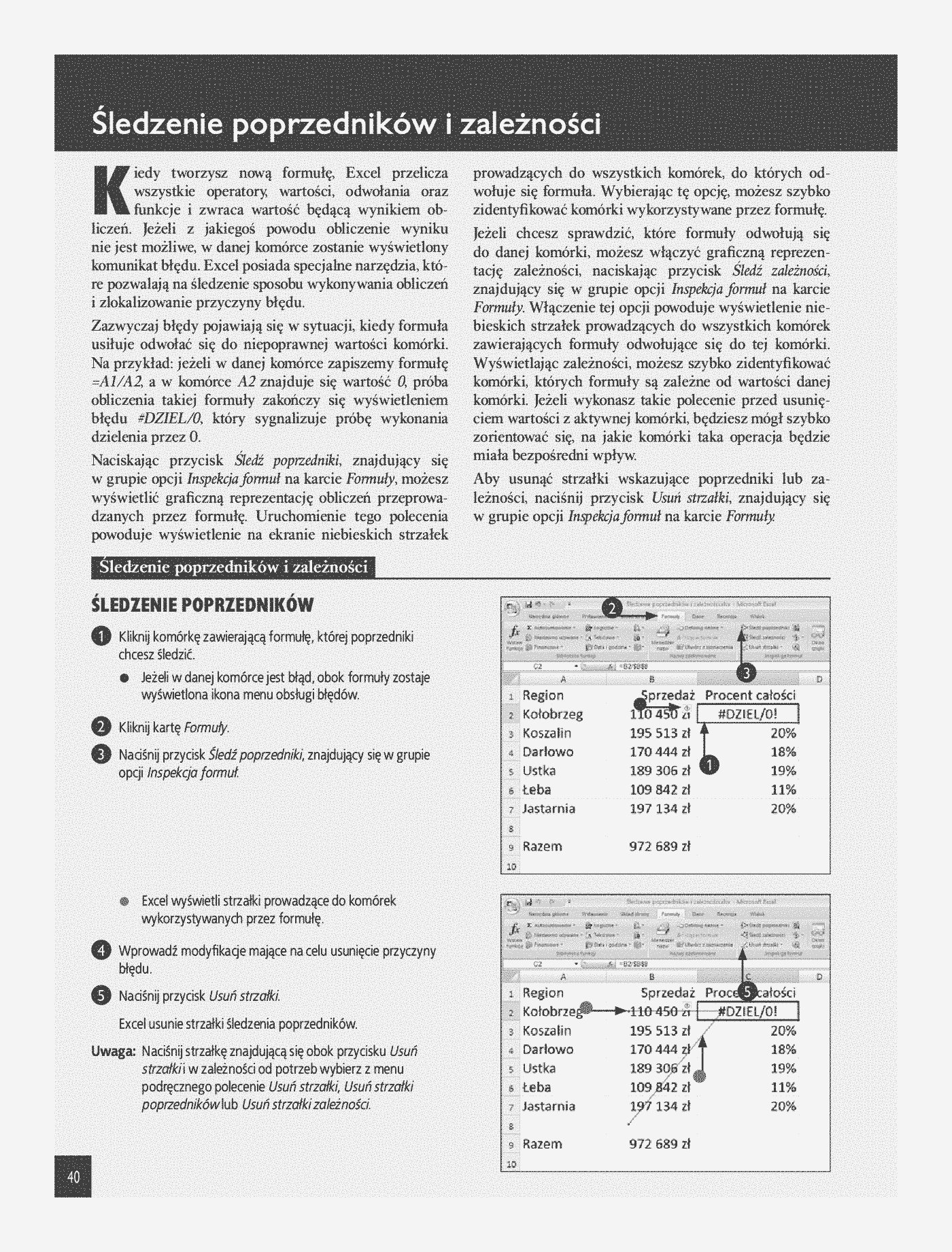 Fragment „Excel 2007 PL. Analiza danych, wykresy, tabele przestawne. Niebieski podręcznik” — strona 21 z 22