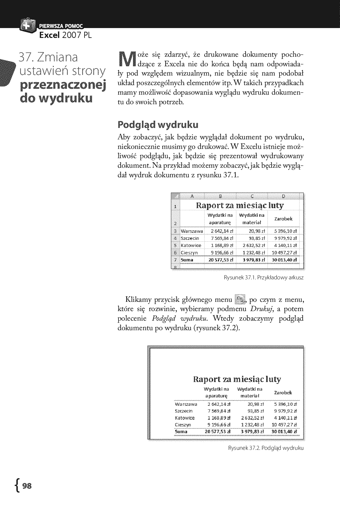 Fragment „Excel 2007 PL. Pierwsza pomoc” — strona 6 z 10