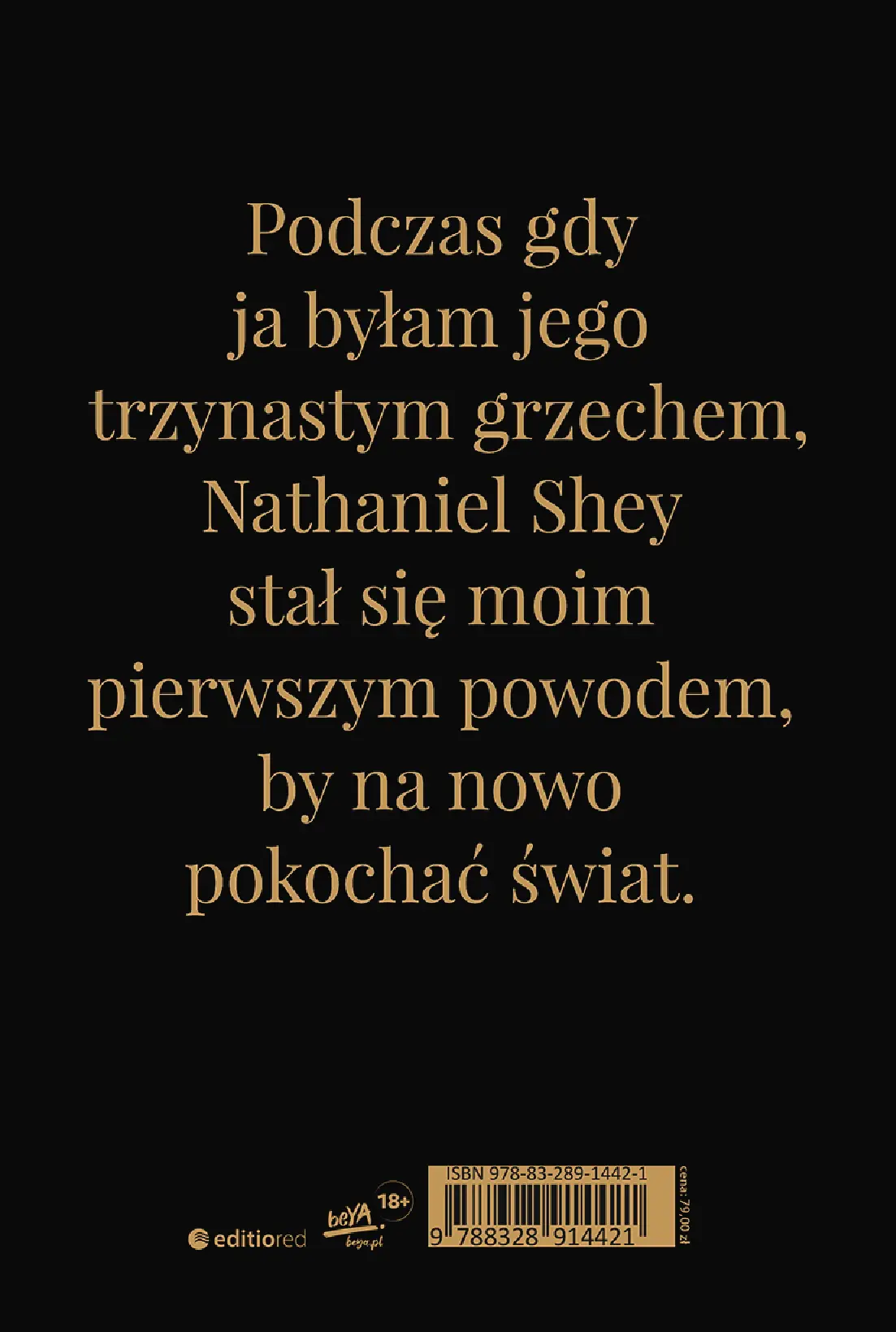 Fragment „Extinguish the Heat. Runda Finałowa. Wydanie premium” — strona 22 z 22