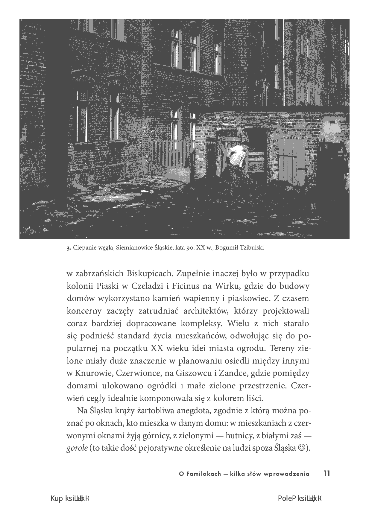 Fragment „Familoki. Śląskie mikrokosmosy. Opowieści o mieszkańcach ceglanych domów” — strona 11 z 16