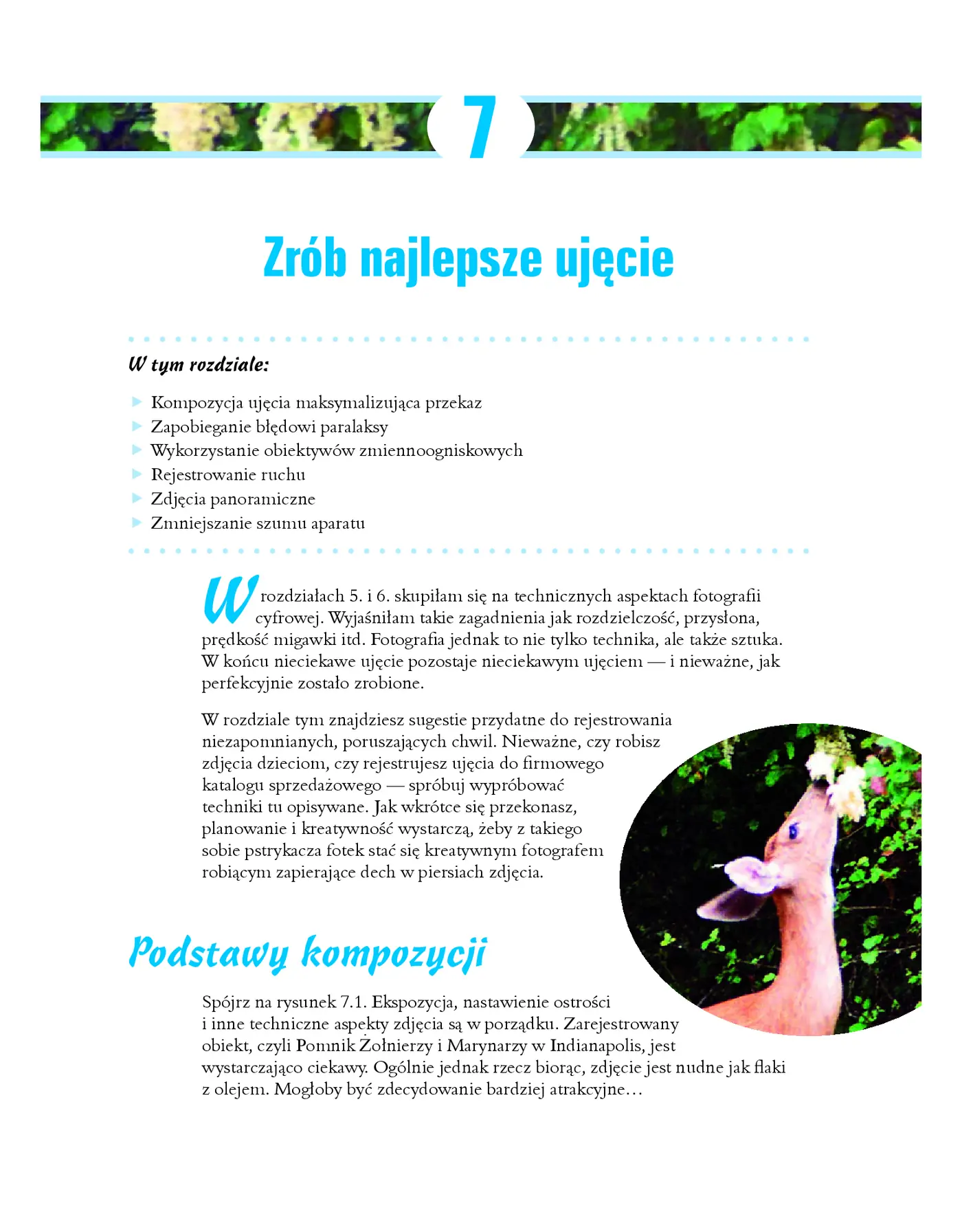 Fragment „Fotografia cyfrowa dla bystrzaków. Wydanie V” — strona 9 z 30
