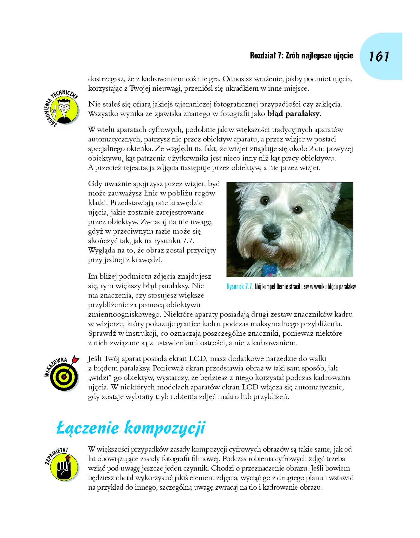 Fragment „Fotografia cyfrowa dla bystrzaków. Wydanie V” — strona 13 z 30