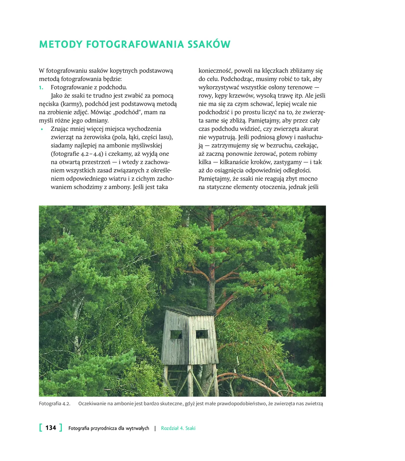 Fragment „Fotografia przyrodnicza dla wytrwałych. Jak skutecznie fotografować” — strona 8 z 20