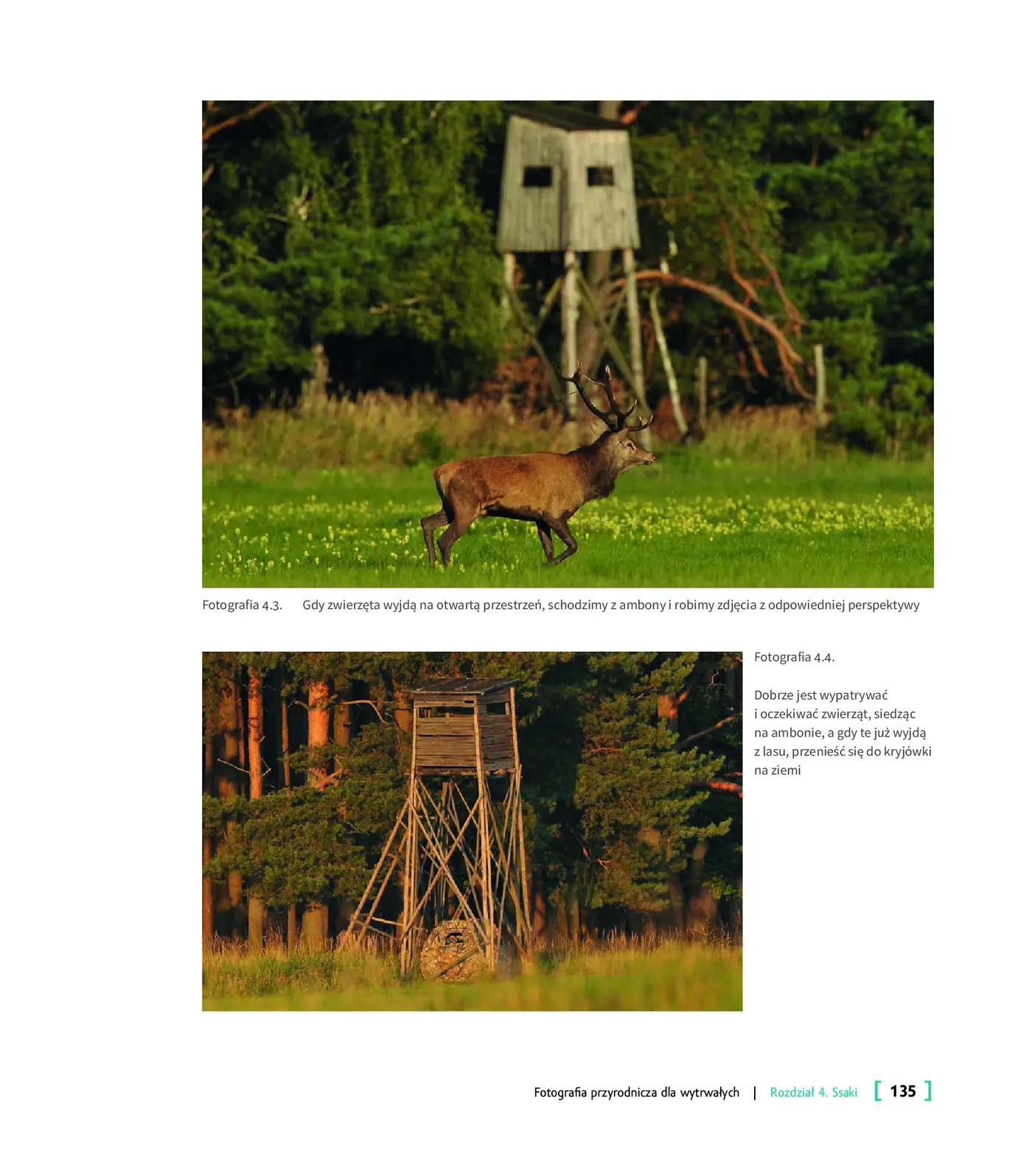 Fragment „Fotografia przyrodnicza dla wytrwałych. Jak skutecznie fotografować” — strona 9 z 20