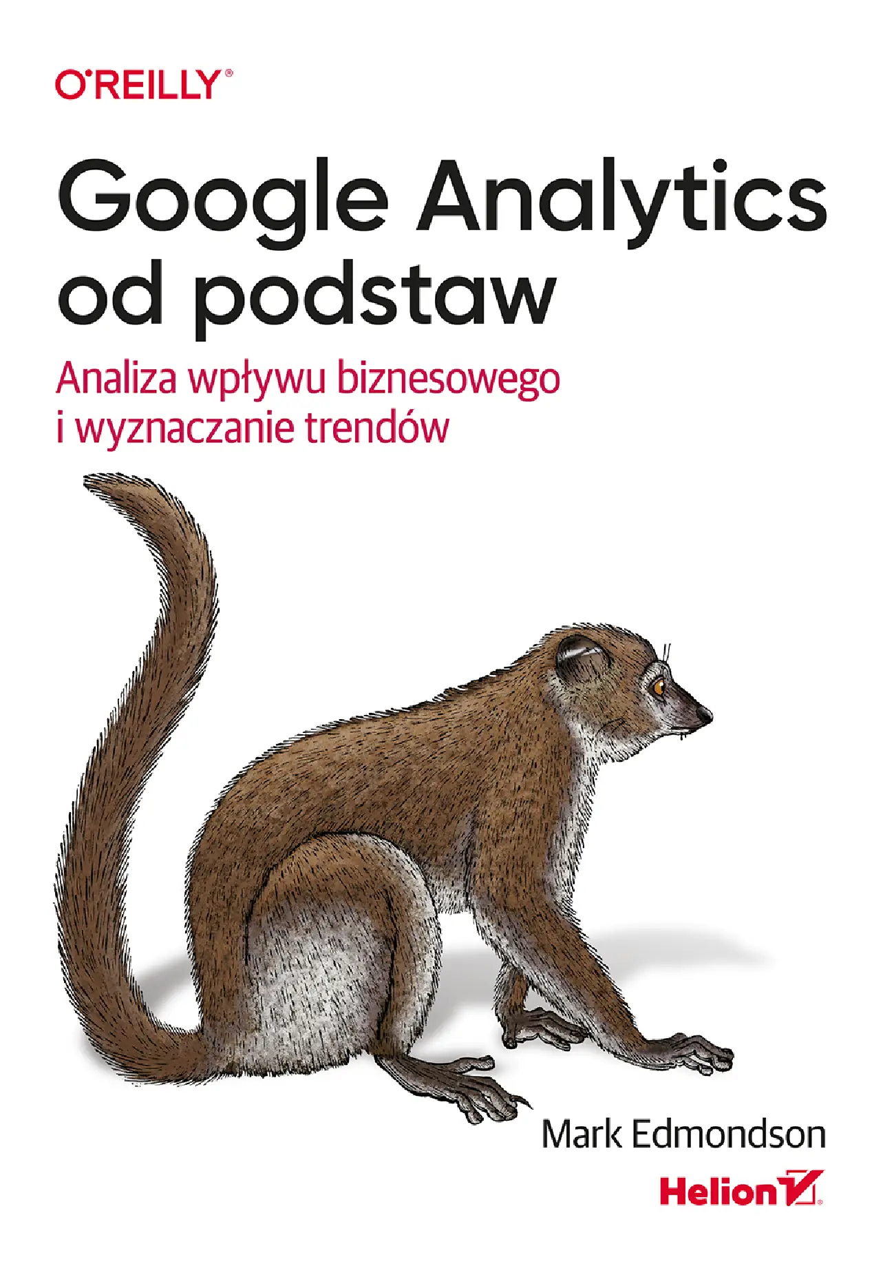 Fragment „Google Analytics od podstaw. Analiza wpływu biznesowego i wyznaczanie trendów” — strona 1 z 30