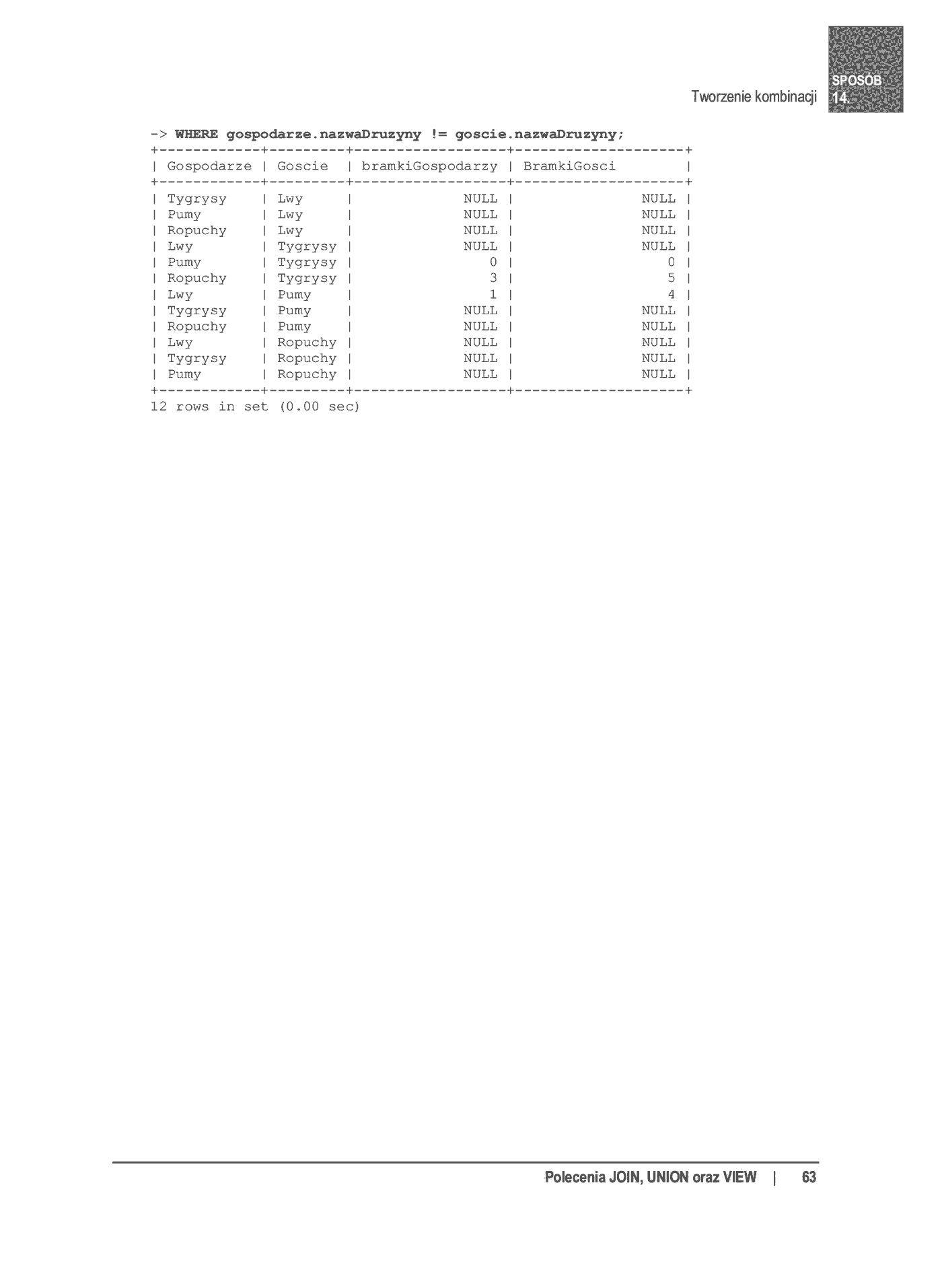 Fragment „100 sposobów na SQL” — strona 24 z 24