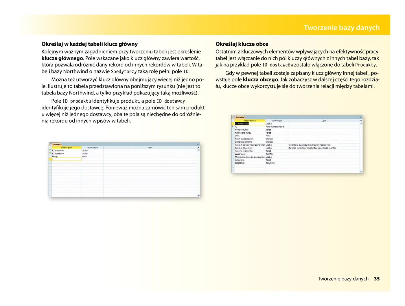 Fragment „Microsoft Access 2010 PL. Praktyczne podejście” — strona 11 z 31