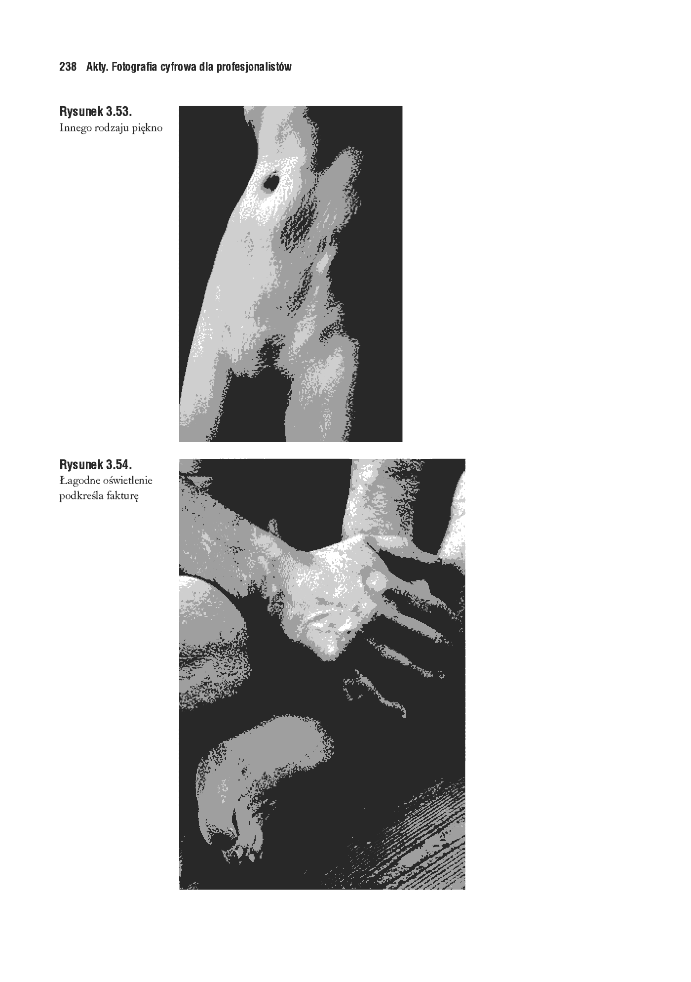 Fragment „Akty. Fotografia cyfrowa dla profesjonalistów” — strona 45 z 54