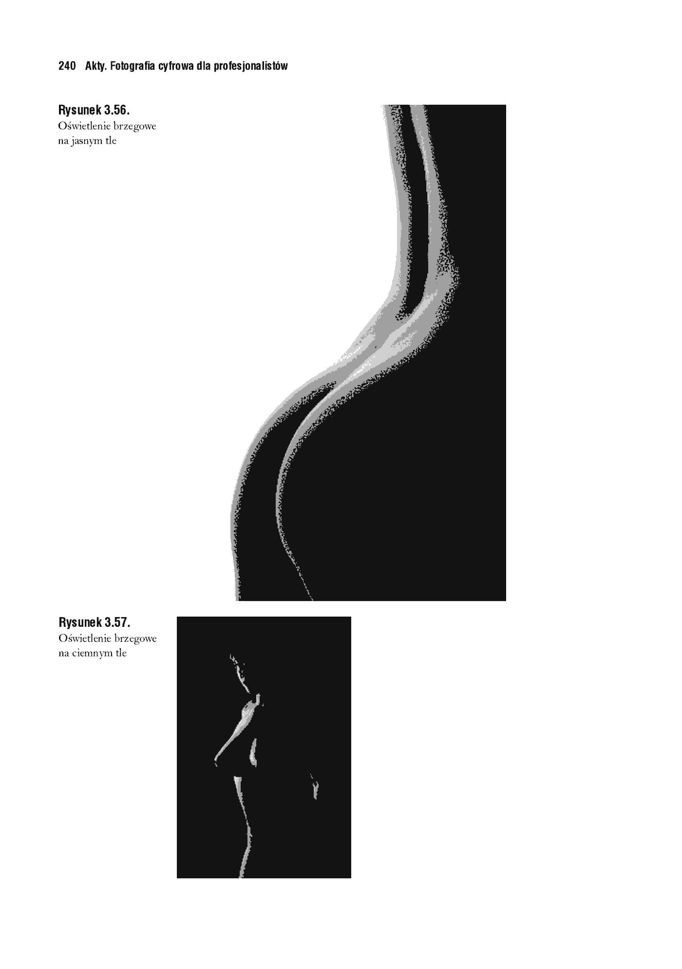 Fragment „Akty. Fotografia cyfrowa dla profesjonalistów” — strona 47 z 54