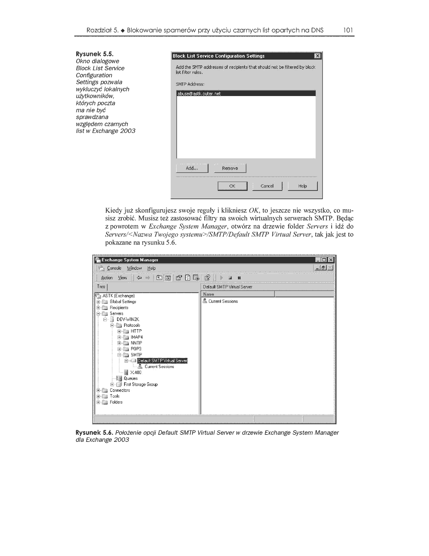 Fragment „Anti-Spam Tool Kit. Edycja polska” — strona 33 z 35