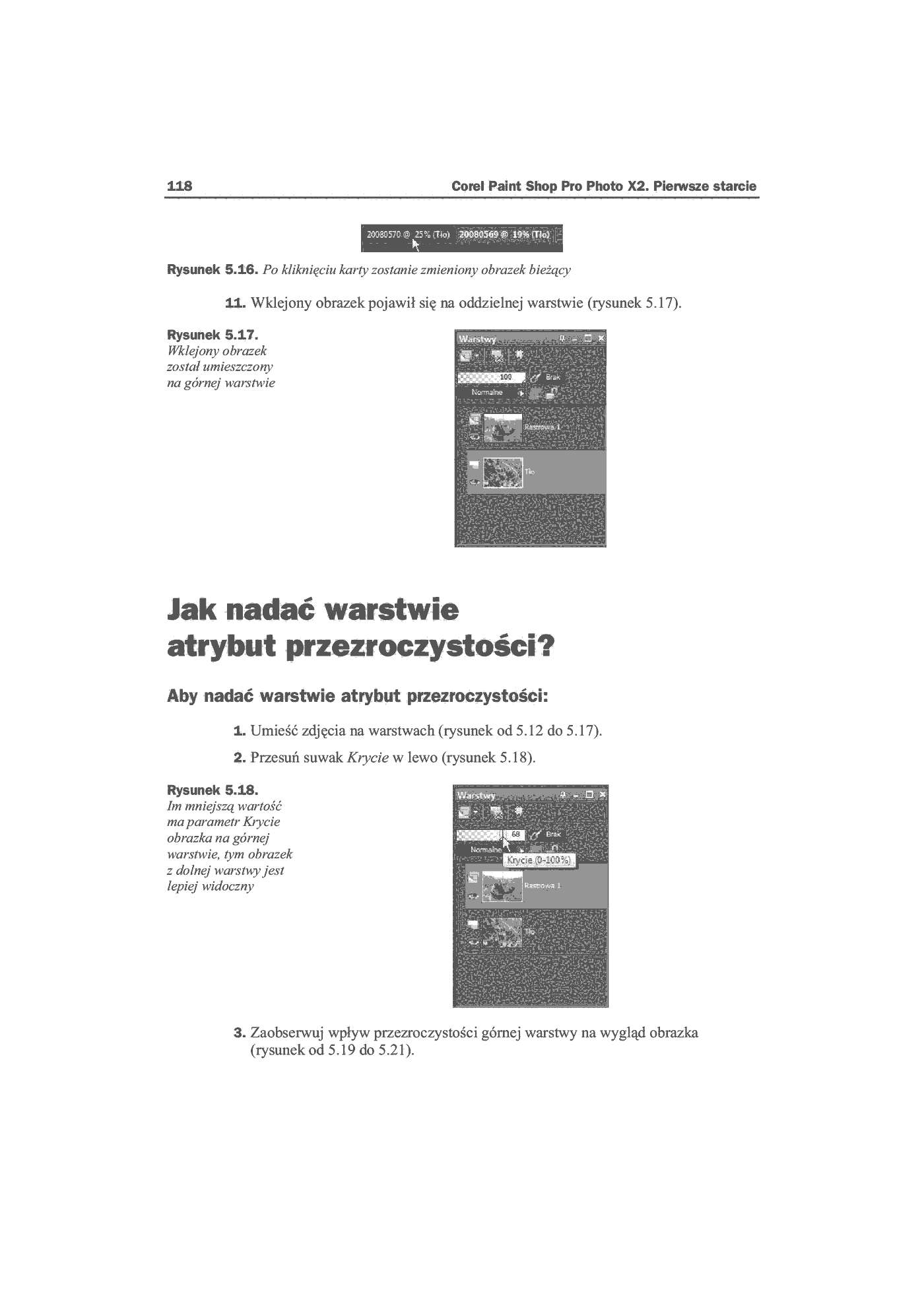 Fragment „Corel Paint Shop Pro Photo X2. Pierwsze starcie” — strona 12 z 16