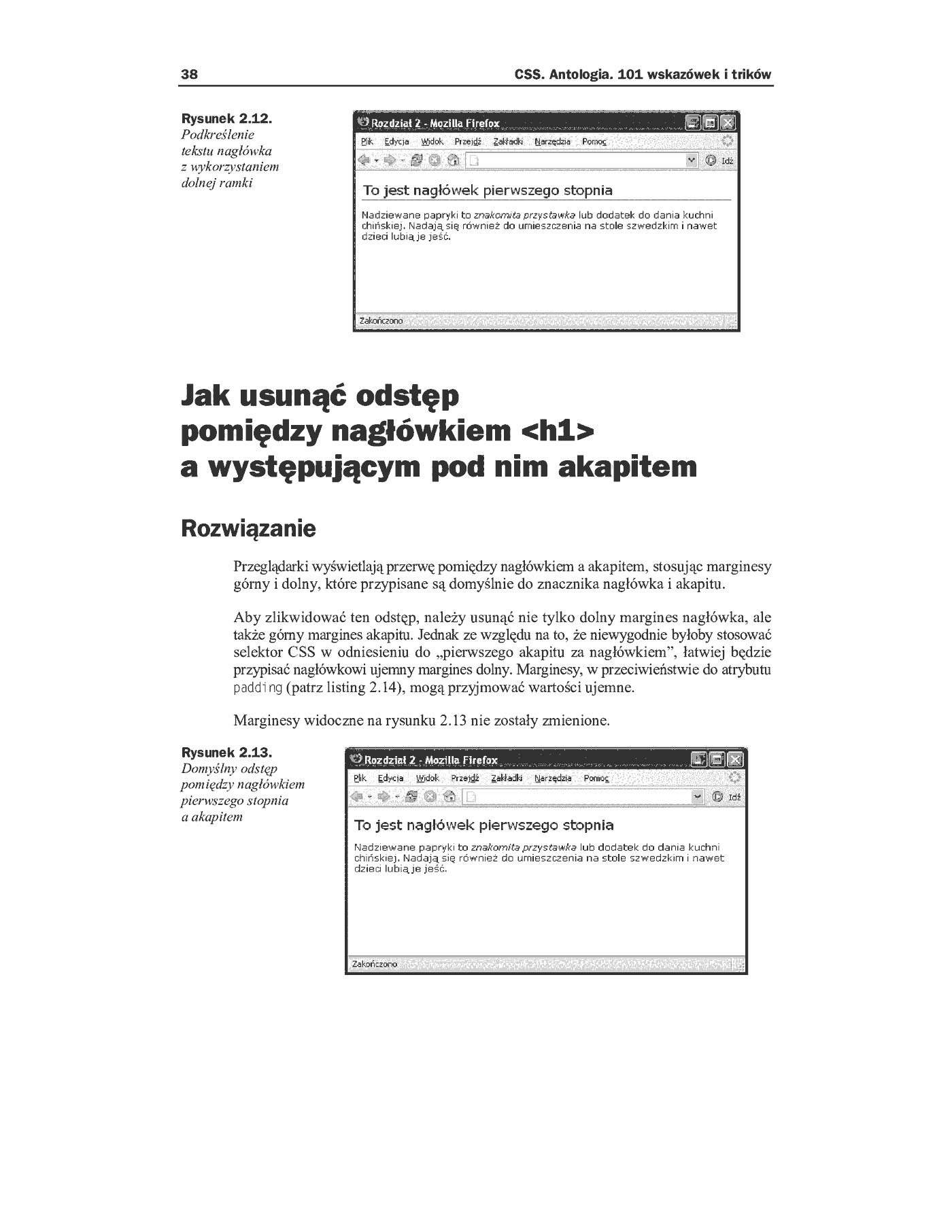 Fragment „CSS. Antologia. 101 wskazówek i trików” — strona 23 z 39