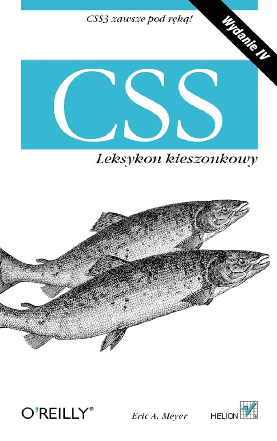 Fragment „CSS. Leksykon kieszonkowy. Wydanie IV” — strona 1 z 34