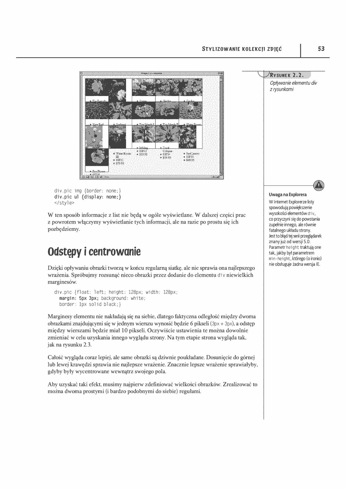 Fragment „CSS według Erica Meyera. Kolejna odsłona” — strona 10 z 29