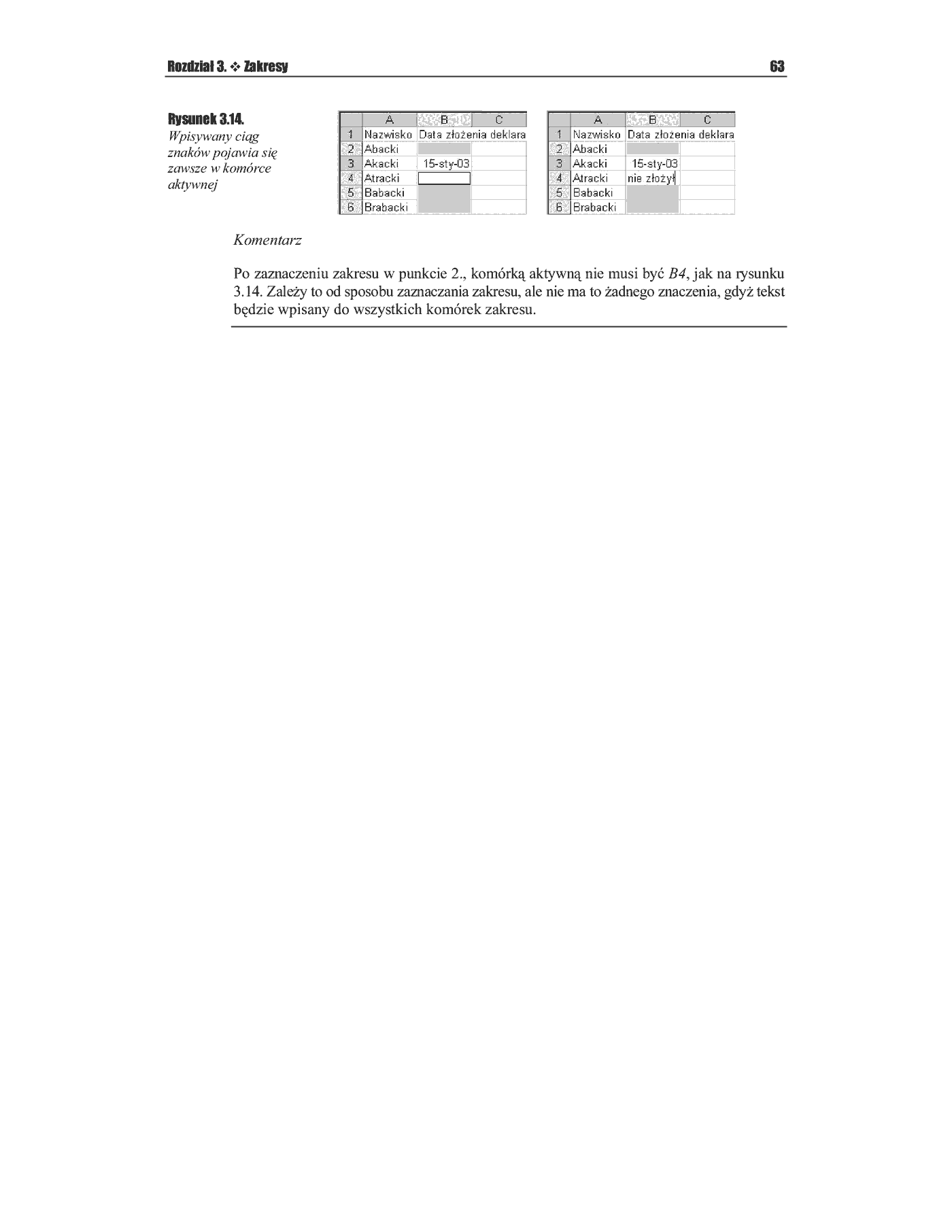 Fragment „Excel 2003 PL. Ćwiczenia praktyczne” — strona 10 z 10