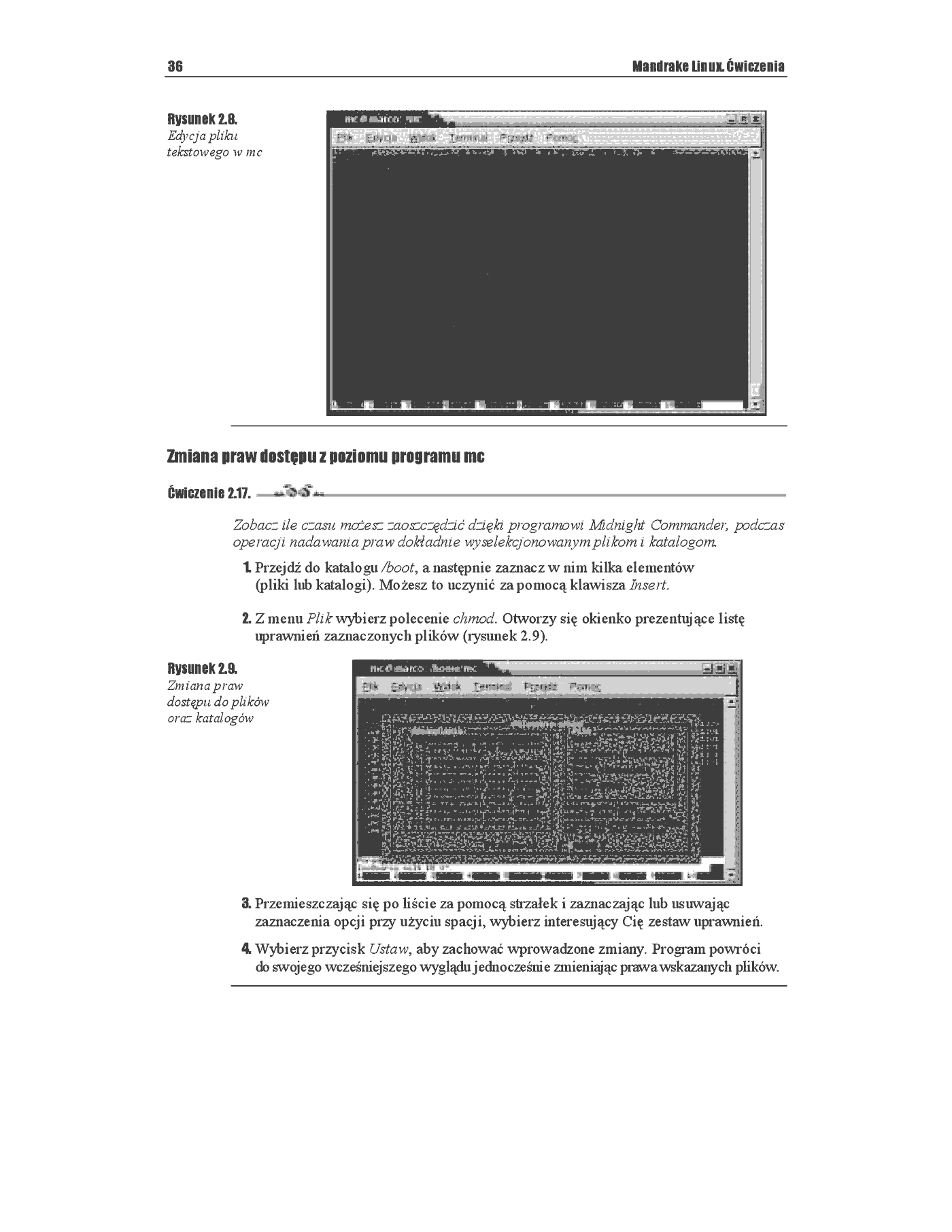 Fragment „Mandrake Linux. Ćwiczenia” — strona 21 z 21