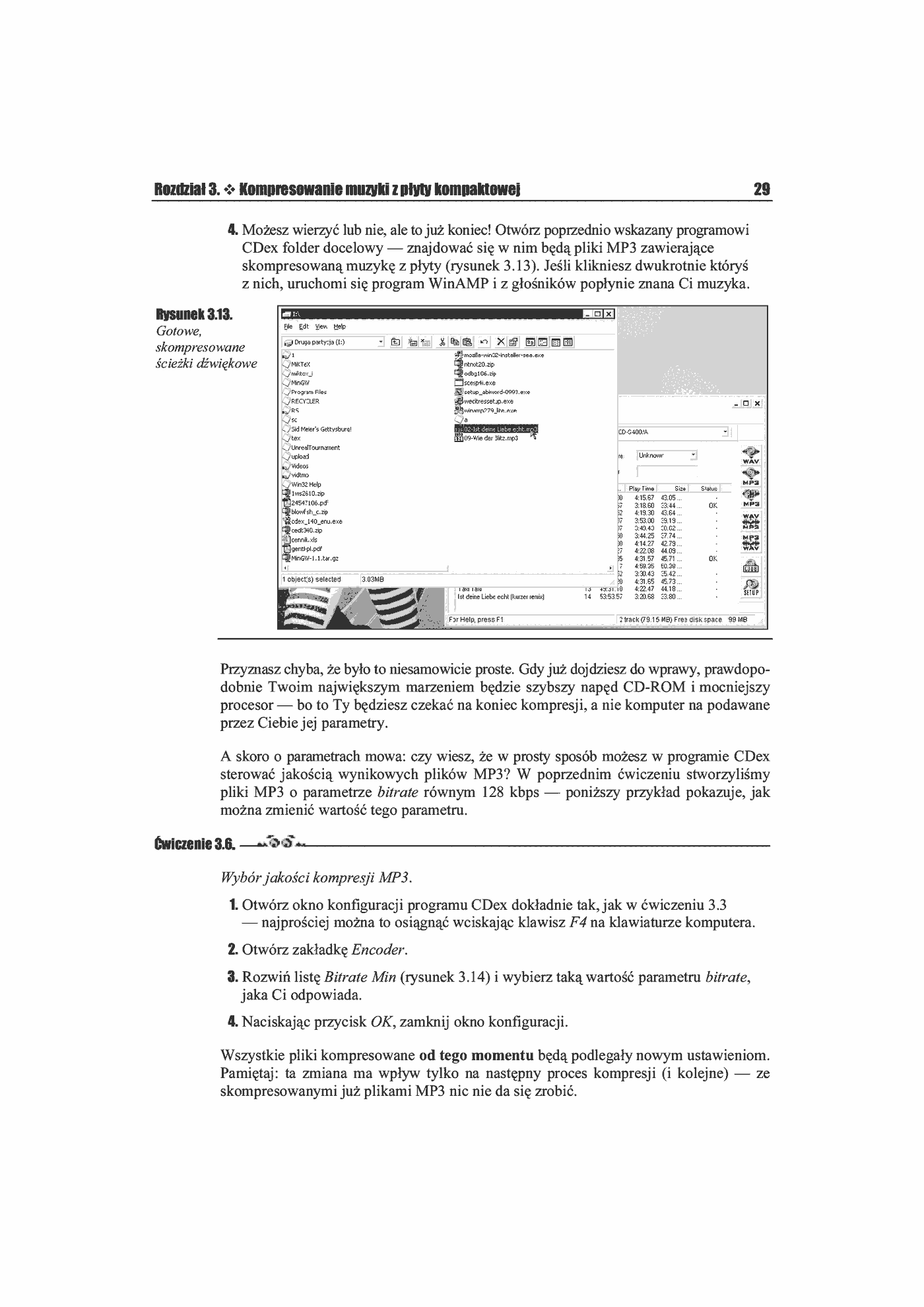 Fragment „MP3 i DivX. Ćwiczenia praktyczne” — strona 12 z 13