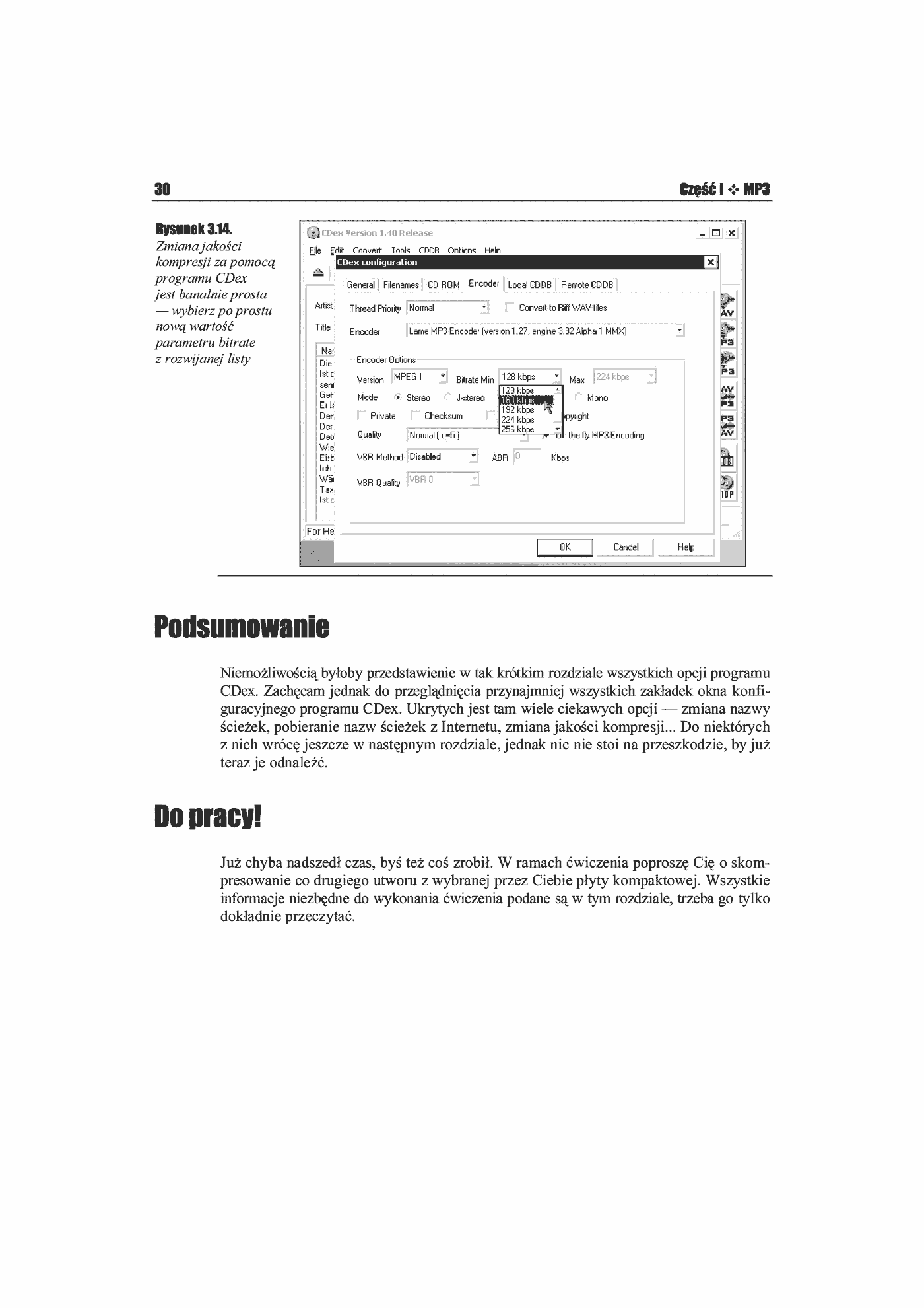Fragment „MP3 i DivX. Ćwiczenia praktyczne” — strona 13 z 13