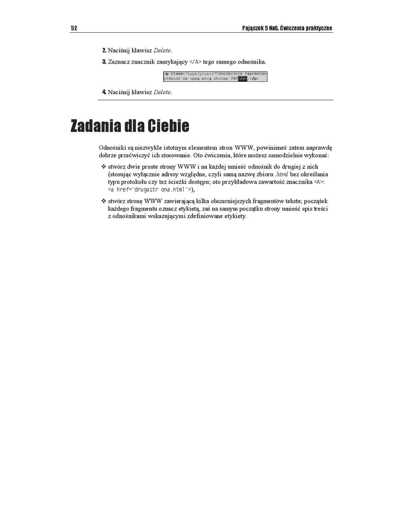 Fragment „Pajączek 5 NxG. Ćwiczenia praktyczne” — strona 12 z 12