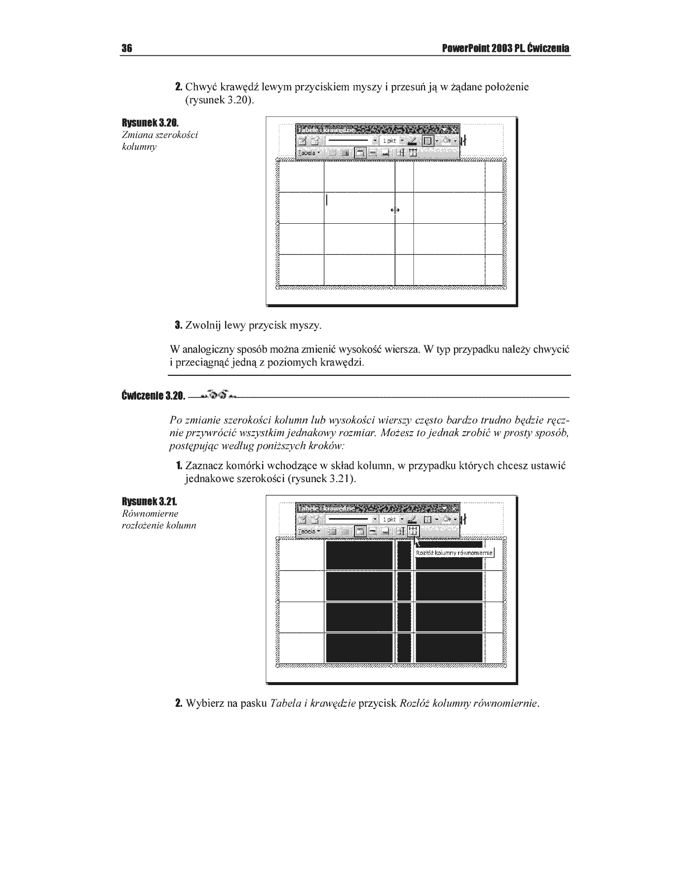 Fragment „PowerPoint 2003 PL. Ćwiczenia” — strona 17 z 49