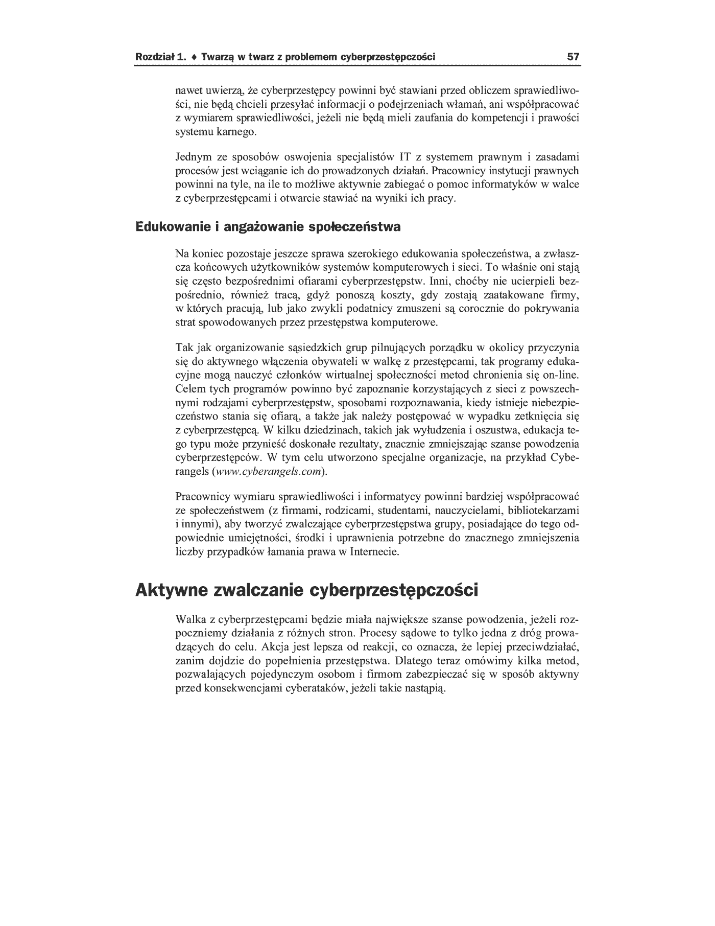 Fragment „Cyberprzestępczość. Jak walczyć z łamaniem prawa w Sieci” — strona 44 z 50