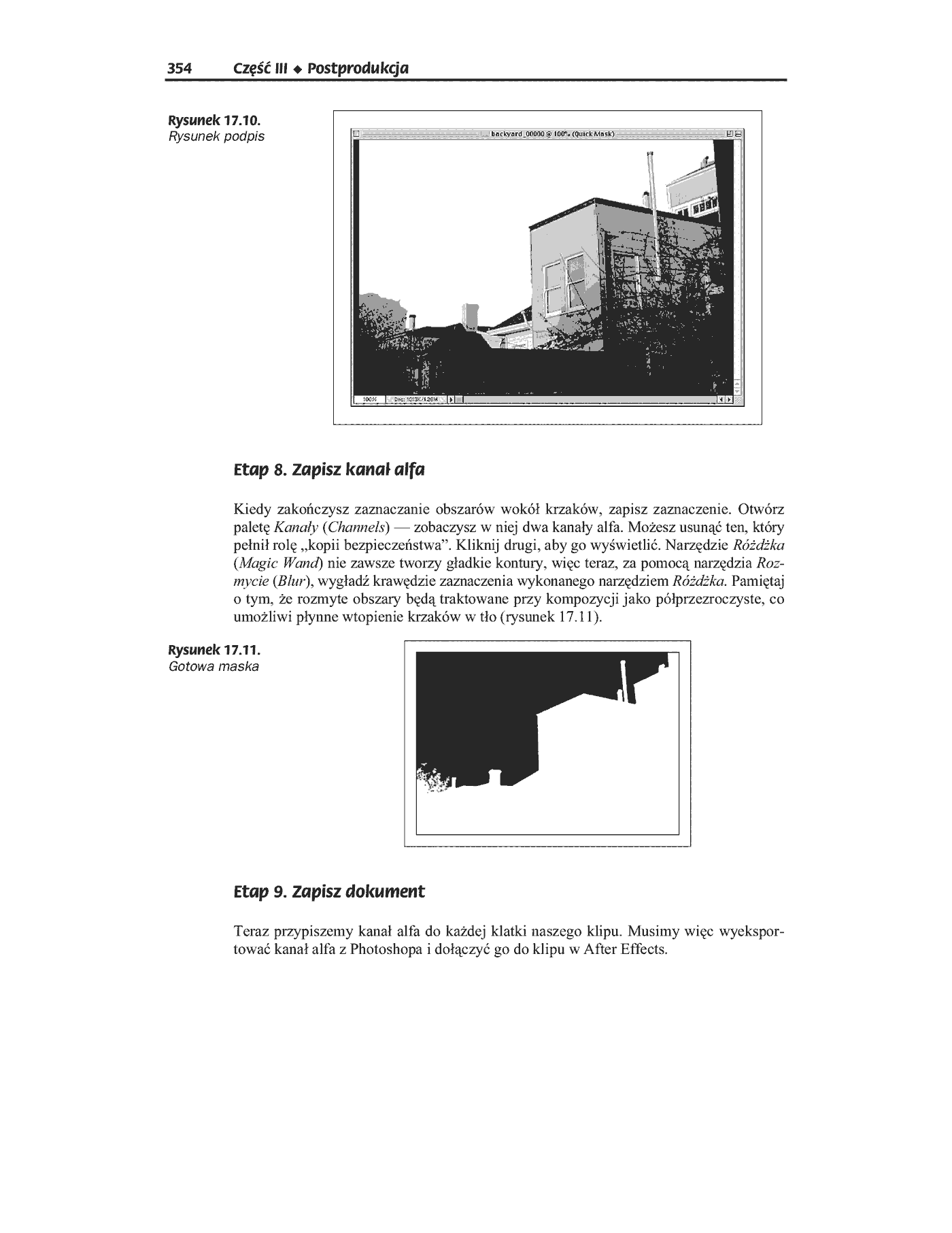 Fragment „Cyfrowe filmy wideo” — strona 21 z 49