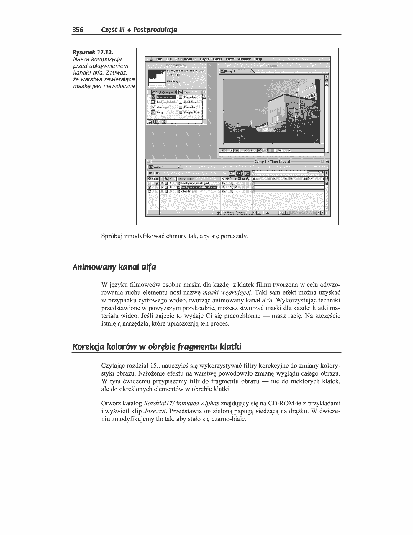 Fragment „Cyfrowe filmy wideo” — strona 23 z 49
