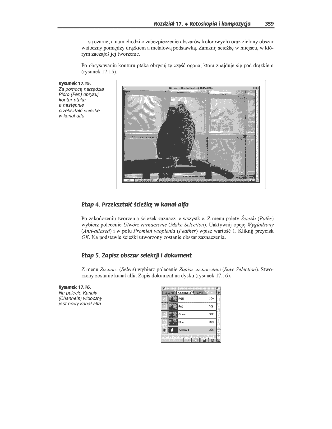 Fragment „Cyfrowe filmy wideo” — strona 26 z 49