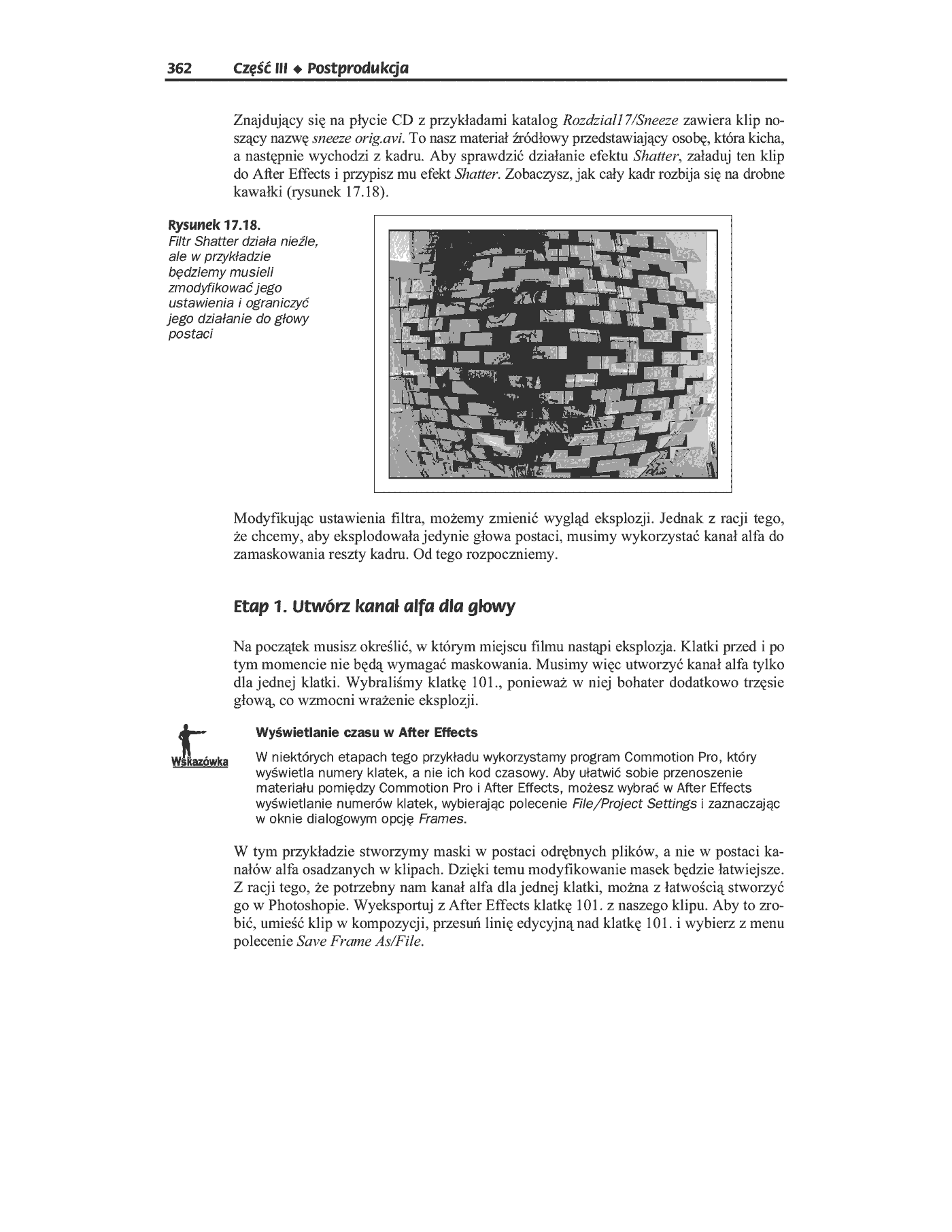 Fragment „Cyfrowe filmy wideo” — strona 29 z 49