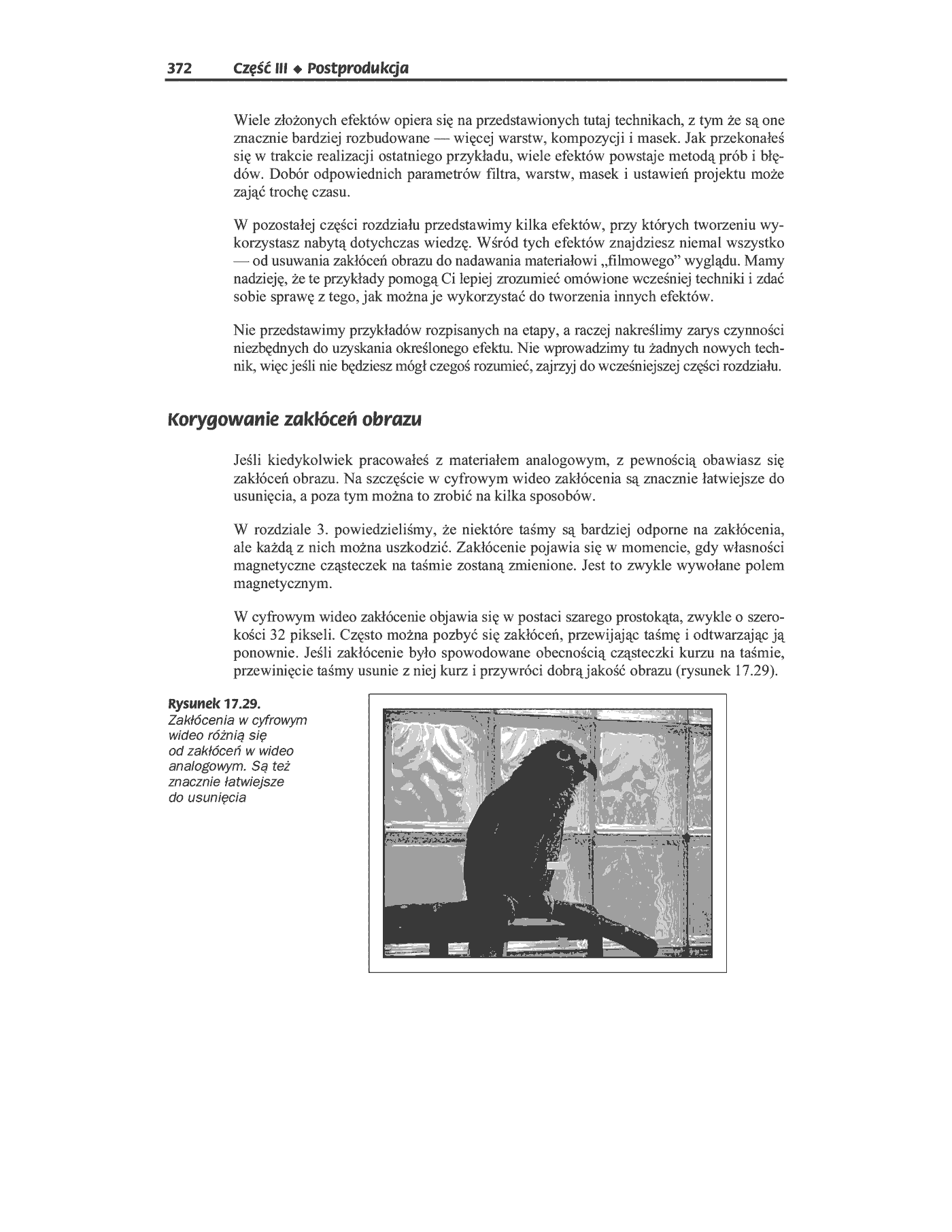 Fragment „Cyfrowe filmy wideo” — strona 39 z 49