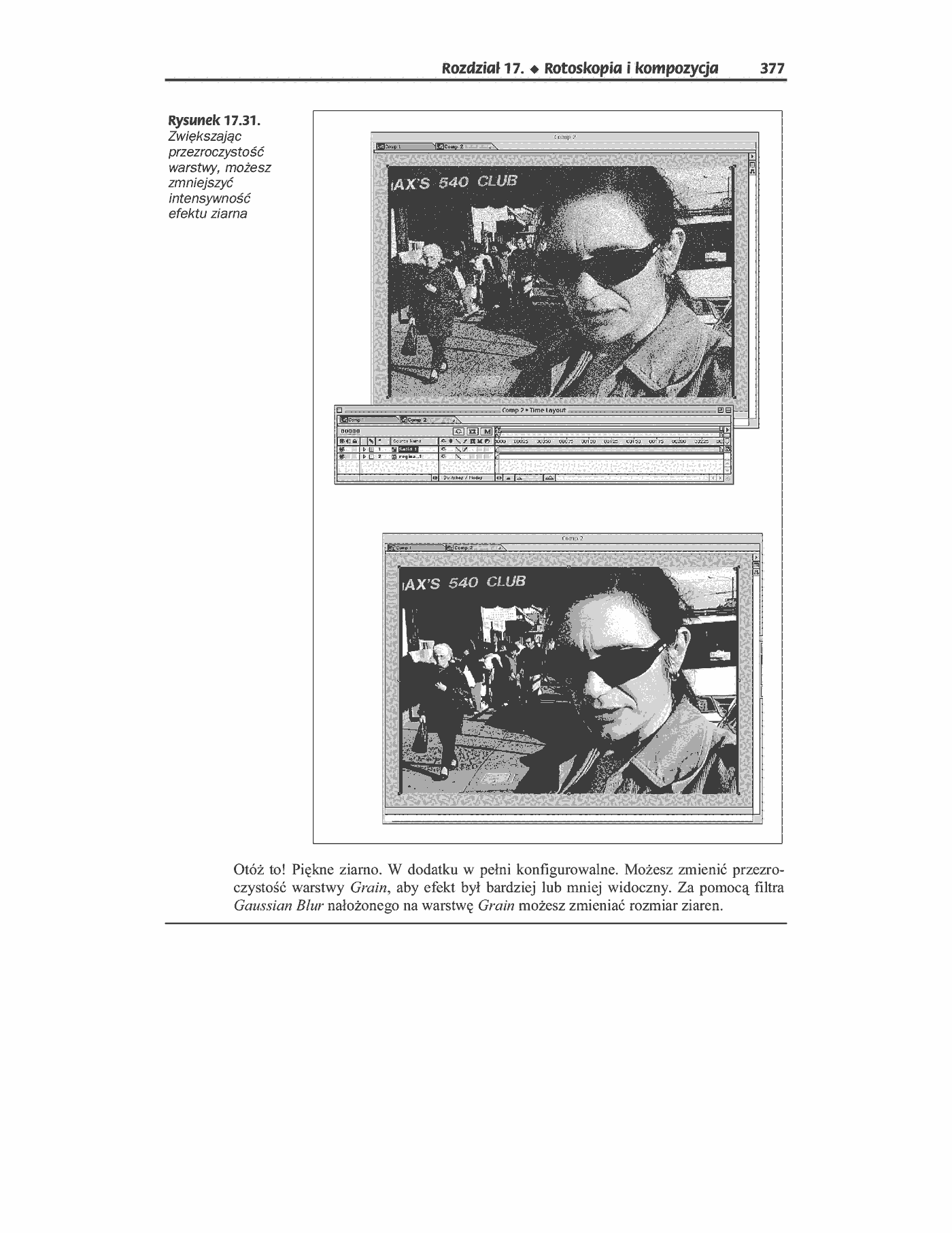 Fragment „Cyfrowe filmy wideo” — strona 44 z 49