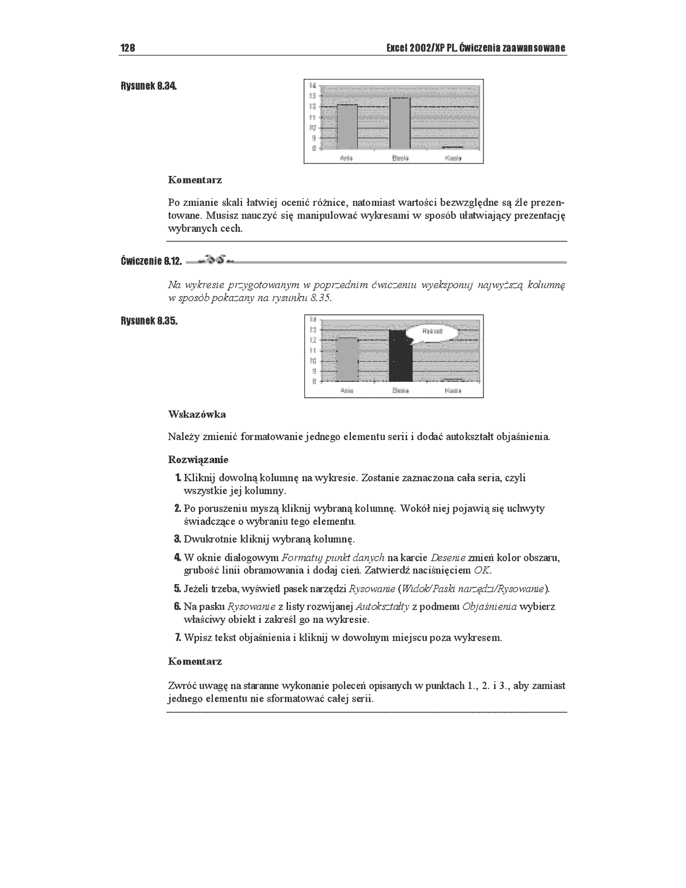 Fragment „Excel 2002/XP PL. Ćwiczenia zaawansowane” — strona 21 z 28